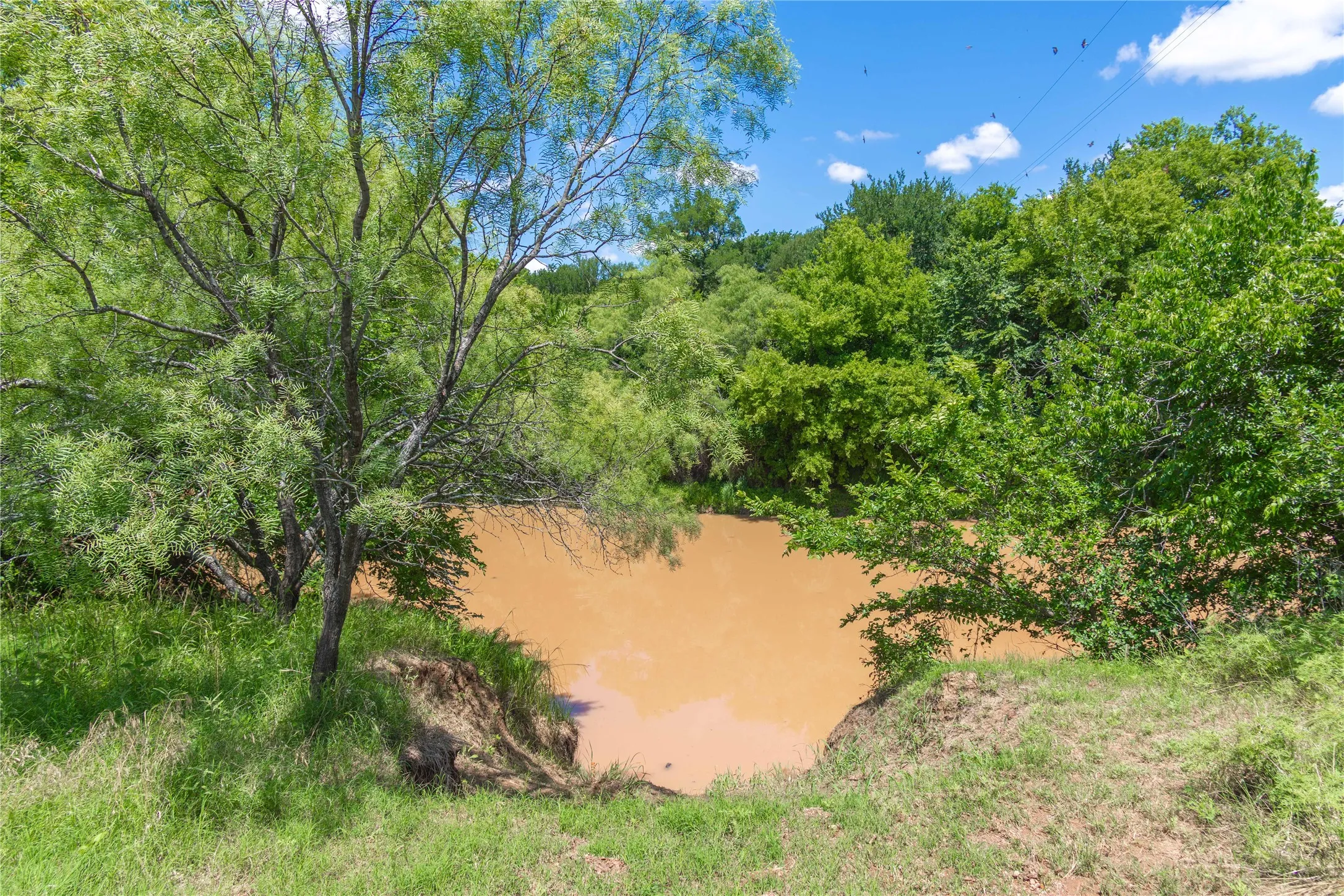 Ranch For Sale in Brown County , 8380 Fm 585, Brownwood, Texas 76801, 0, 0, Garage spaces, 0 Sqft, built in 0, mls#21285767, Real Estate Agent in Brownwood, Homes For Sale in Brown county, Homes For Sale in Brownwood, Realtor in Brownwood Texas, Real Estate Brokerage Independent Realty Texas, Luminita Cordes Realtor