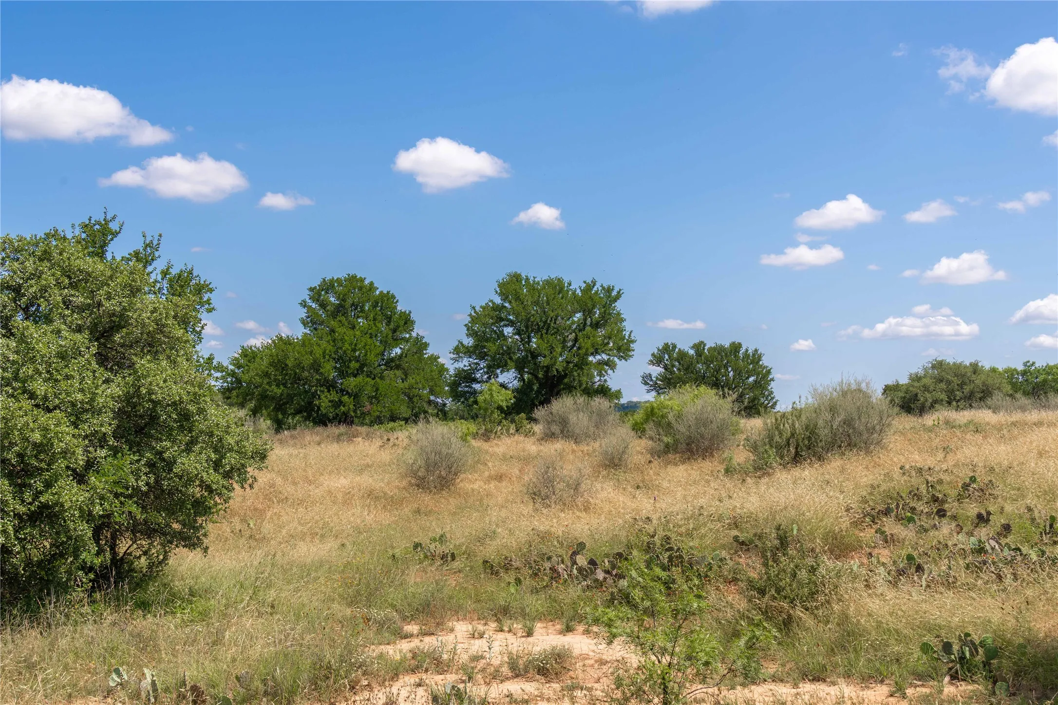 Expansive undeveloped land featuring natural grasses, mature trees, and native vegetation under a clear sky