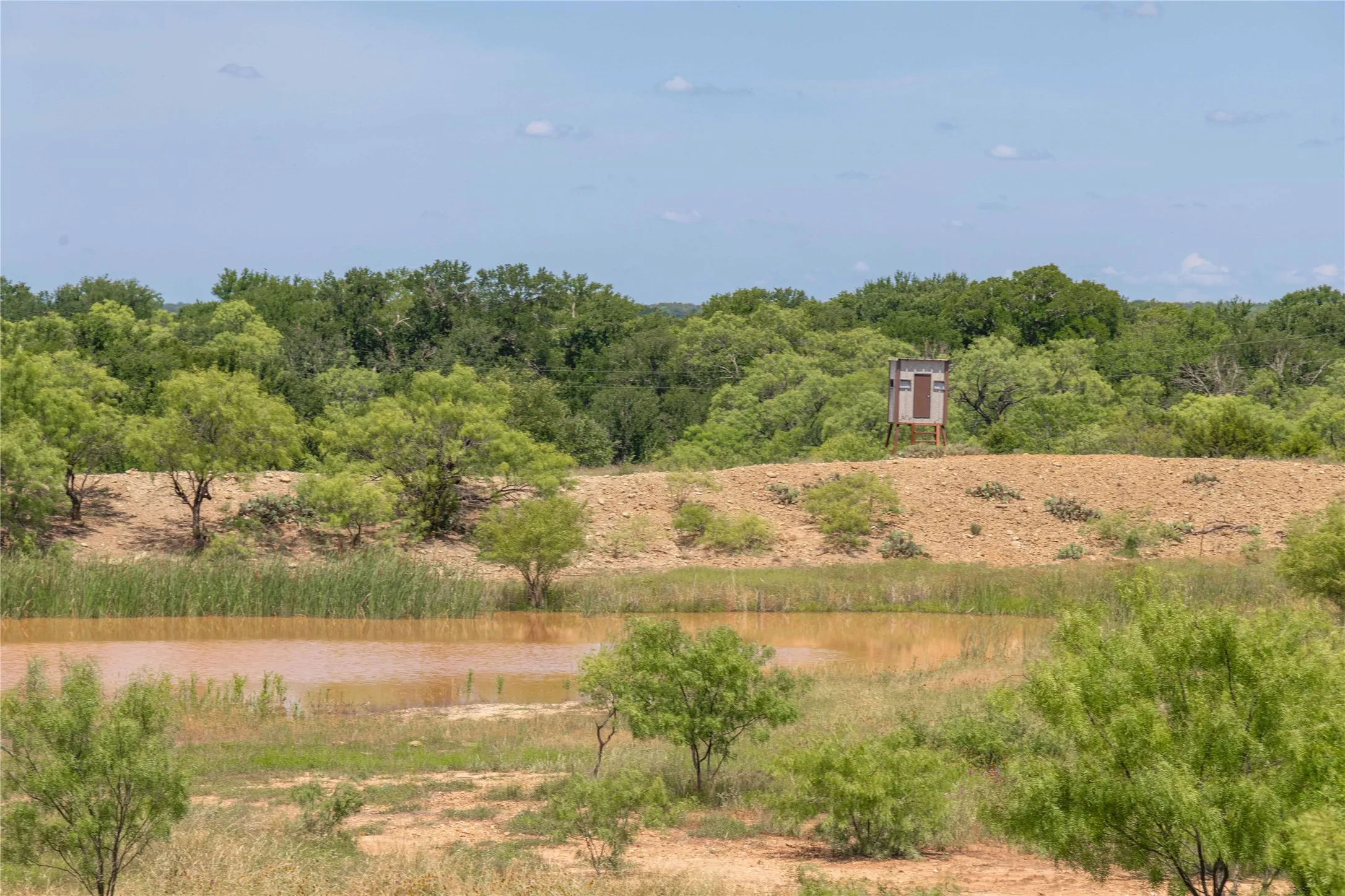 Expansive natural landscape featuring a body of water with surrounding vegetation, a distant elevated structure, and a dense tree line beyond