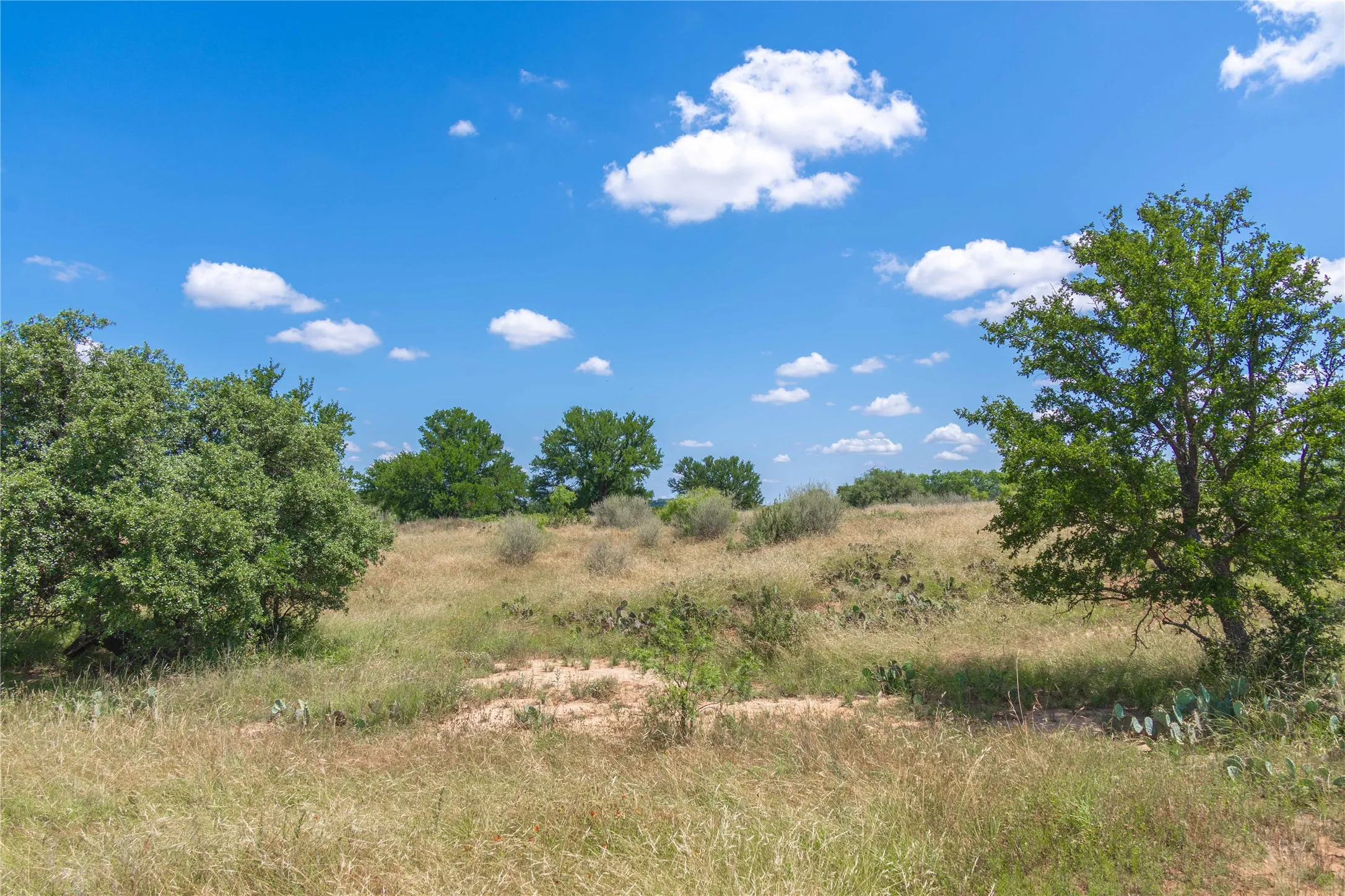 Expansive land parcel featuring diverse natural vegetation, mature trees, and varied topography