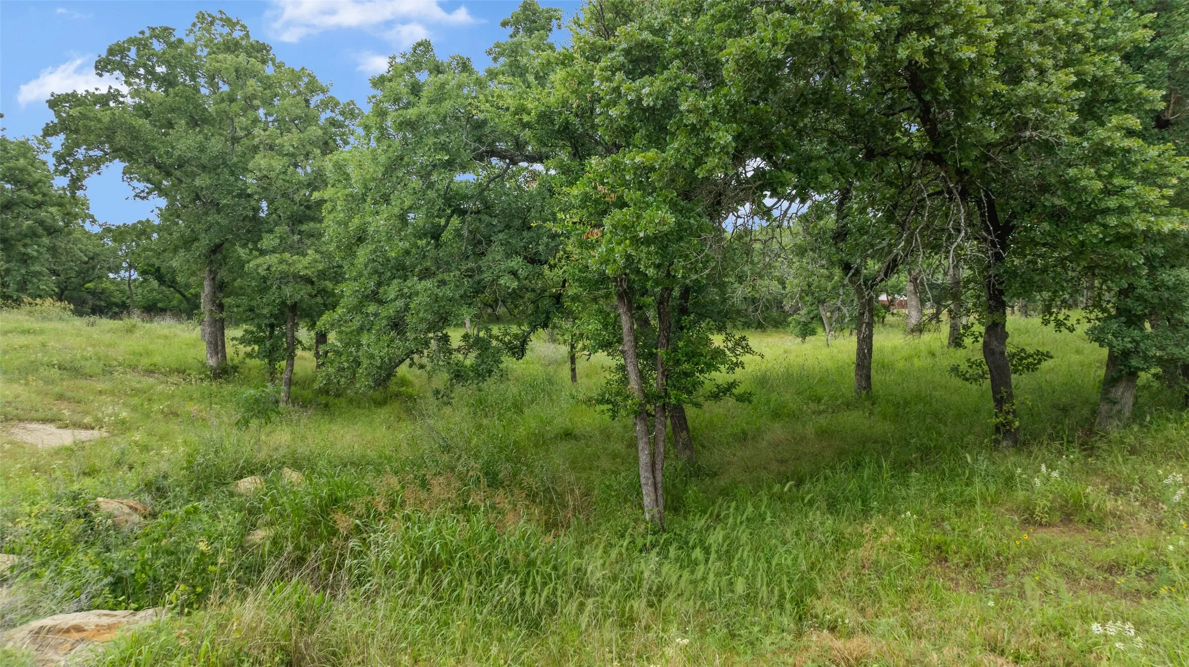 Unimproved Land For Sale in Montague County , 10 South Court, Nocona, Texas 76255, 0, 0, Garage spaces, 0 Sqft, built in 0, mls#21285838, Real Estate Agent in Nocona, Homes For Sale in Montague county, Homes For Sale in Nocona, Realtor in Nocona Texas, Real Estate Brokerage Independent Realty Texas, Luminita Cordes Realtor