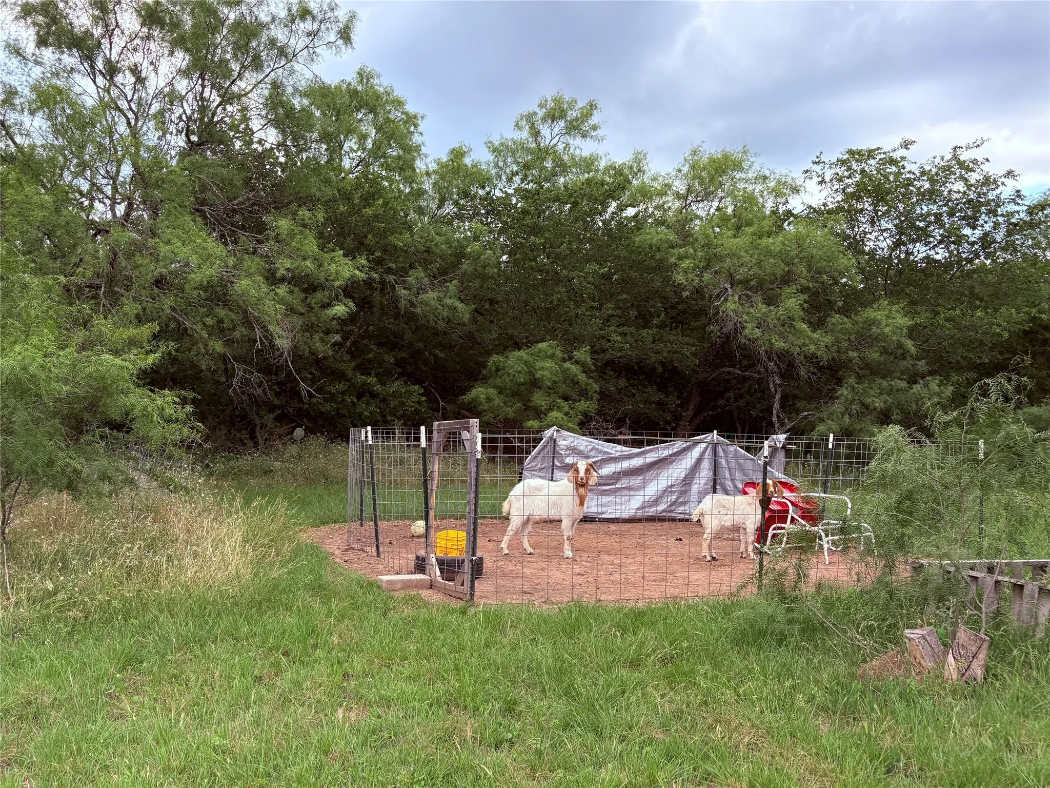 Single Family Residence For Sale in Eastland County , 1117 N Tiffin Road, Ranger, Texas 76470, 3 Bedroom, 2 Bathroom, Garage spaces, 1,860 Sqft, built in 1930, mls#21285850, Real Estate Agent in Ranger, Homes For Sale in Eastland county, Homes For Sale in Ranger, Realtor in Ranger Texas, Real Estate Brokerage Independent Realty Texas, Luminita Cordes Realtor