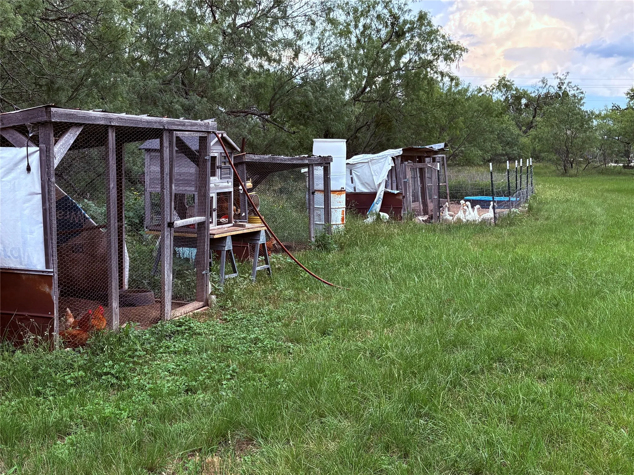 Single Family Residence For Sale in Eastland County , 1117 N Tiffin Road, Ranger, Texas 76470, 3 Bedroom, 2 Bathroom, Garage spaces, 1,860 Sqft, built in 1930, mls#21285850, Real Estate Agent in Ranger, Homes For Sale in Eastland county, Homes For Sale in Ranger, Realtor in Ranger Texas, Real Estate Brokerage Independent Realty Texas, Luminita Cordes Realtor