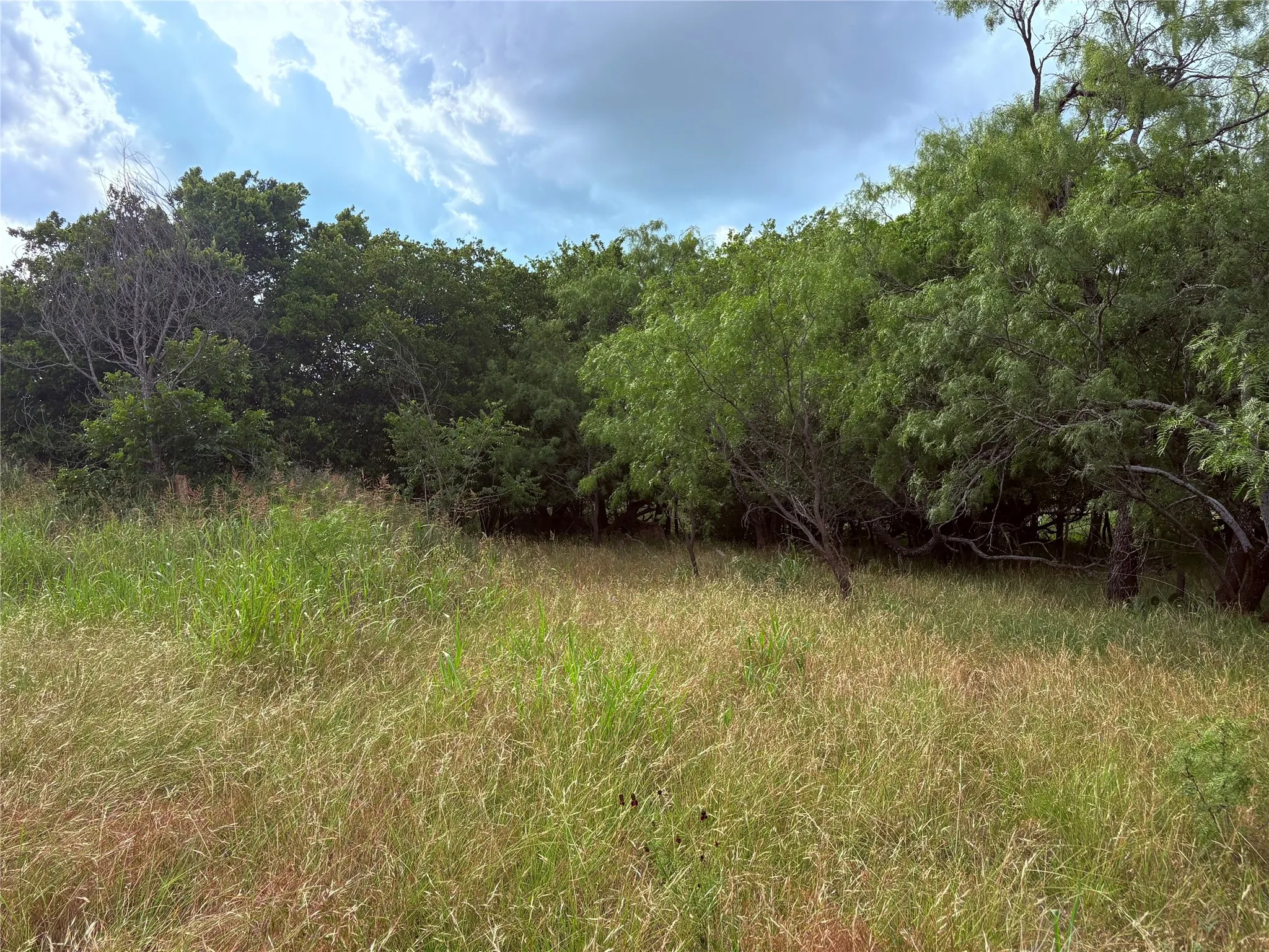 Single Family Residence For Sale in Eastland County , 1117 N Tiffin Road, Ranger, Texas 76470, 3 Bedroom, 2 Bathroom, Garage spaces, 1,860 Sqft, built in 1930, mls#21285850, Real Estate Agent in Ranger, Homes For Sale in Eastland county, Homes For Sale in Ranger, Realtor in Ranger Texas, Real Estate Brokerage Independent Realty Texas, Luminita Cordes Realtor