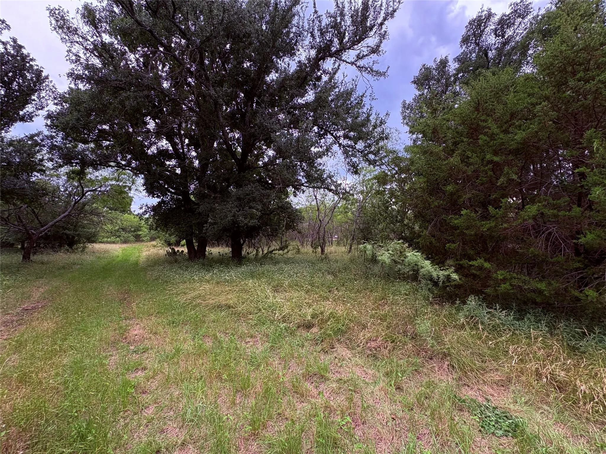 Single Family Residence For Sale in Eastland County , 1117 N Tiffin Road, Ranger, Texas 76470, 3 Bedroom, 2 Bathroom, Garage spaces, 1,860 Sqft, built in 1930, mls#21285850, Real Estate Agent in Ranger, Homes For Sale in Eastland county, Homes For Sale in Ranger, Realtor in Ranger Texas, Real Estate Brokerage Independent Realty Texas, Luminita Cordes Realtor