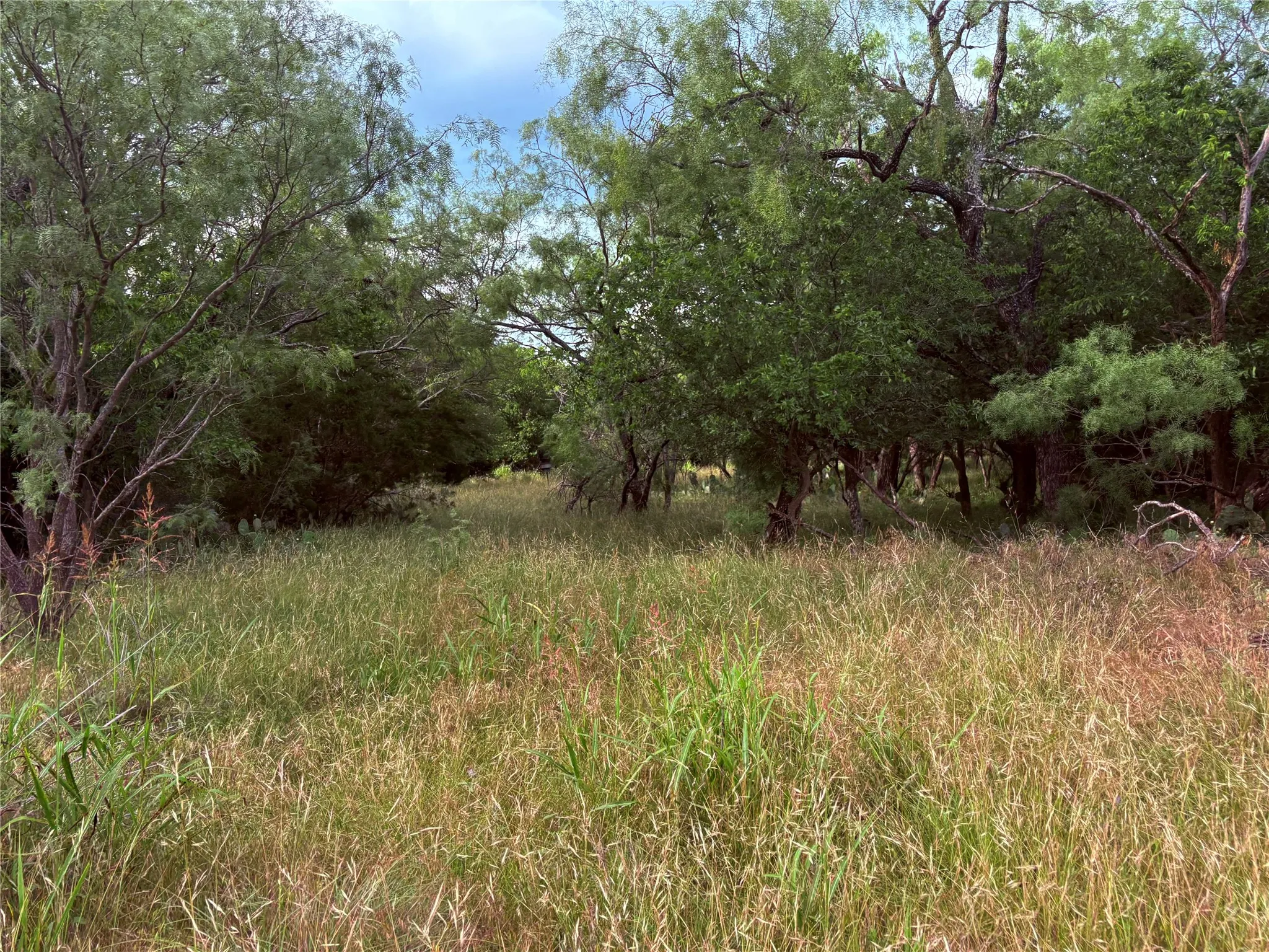 Single Family Residence For Sale in Eastland County , 1117 N Tiffin Road, Ranger, Texas 76470, 3 Bedroom, 2 Bathroom, Garage spaces, 1,860 Sqft, built in 1930, mls#21285850, Real Estate Agent in Ranger, Homes For Sale in Eastland county, Homes For Sale in Ranger, Realtor in Ranger Texas, Real Estate Brokerage Independent Realty Texas, Luminita Cordes Realtor