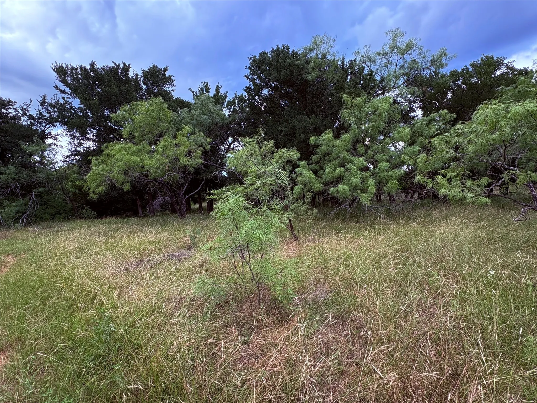 Single Family Residence For Sale in Eastland County , 1117 N Tiffin Road, Ranger, Texas 76470, 3 Bedroom, 2 Bathroom, Garage spaces, 1,860 Sqft, built in 1930, mls#21285850, Real Estate Agent in Ranger, Homes For Sale in Eastland county, Homes For Sale in Ranger, Realtor in Ranger Texas, Real Estate Brokerage Independent Realty Texas, Luminita Cordes Realtor