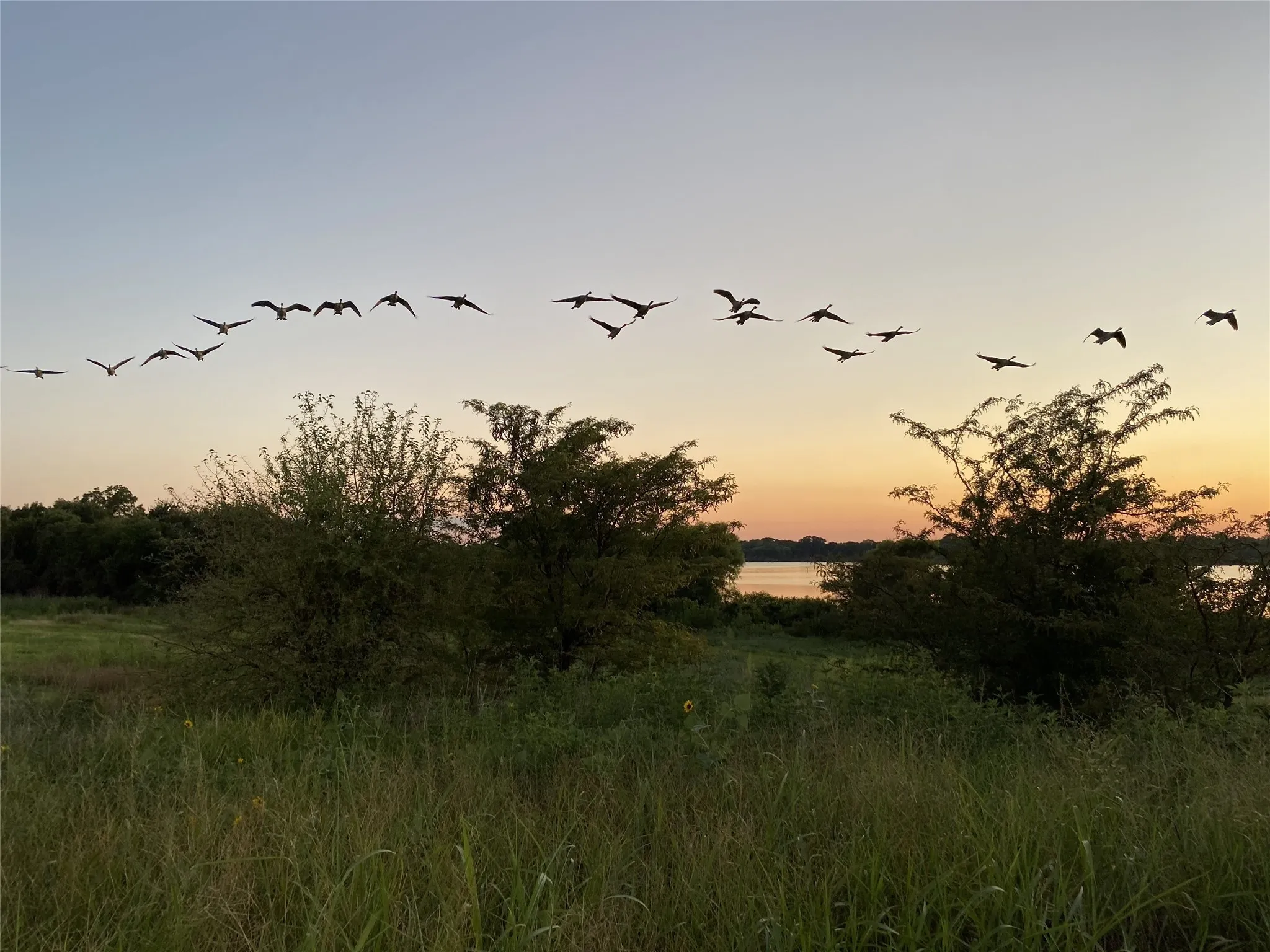 Expansive natural landscape featuring a lake, abundant mature trees, and natural grasses