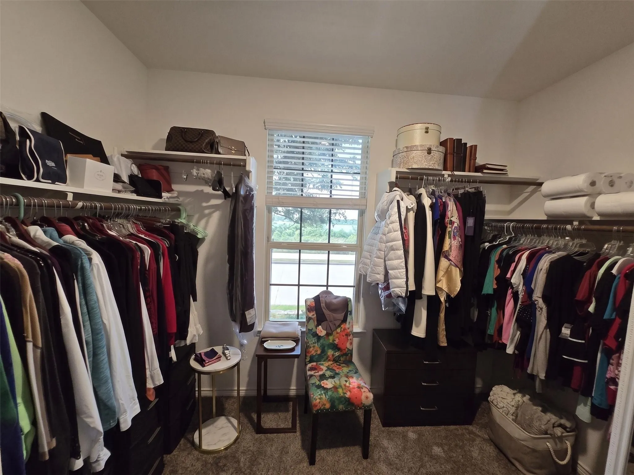 Spacious closet featuring a window with blinds, multiple hanging rods, built-in shelving, and carpet flooring