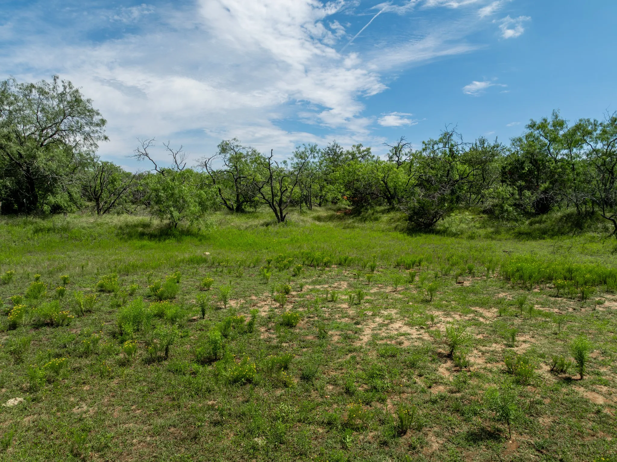Unimproved Land For Sale in Hill County , TBD HCR 2115, Whitney, Texas 76692, 0, 0, Garage spaces, 0 Sqft, built in 0, mls#21285426, Real Estate Agent in Whitney, Homes For Sale in Hill county, Homes For Sale in Whitney, Realtor in Whitney Texas, Real Estate Brokerage Independent Realty Texas, Luminita Cordes Realtor