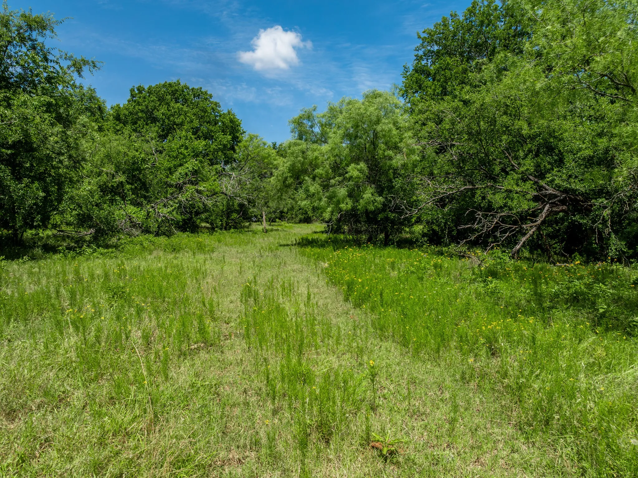 Unimproved Land For Sale in Hill County , TBD HCR 2115, Whitney, Texas 76692, 0, 0, Garage spaces, 0 Sqft, built in 0, mls#21285426, Real Estate Agent in Whitney, Homes For Sale in Hill county, Homes For Sale in Whitney, Realtor in Whitney Texas, Real Estate Brokerage Independent Realty Texas, Luminita Cordes Realtor