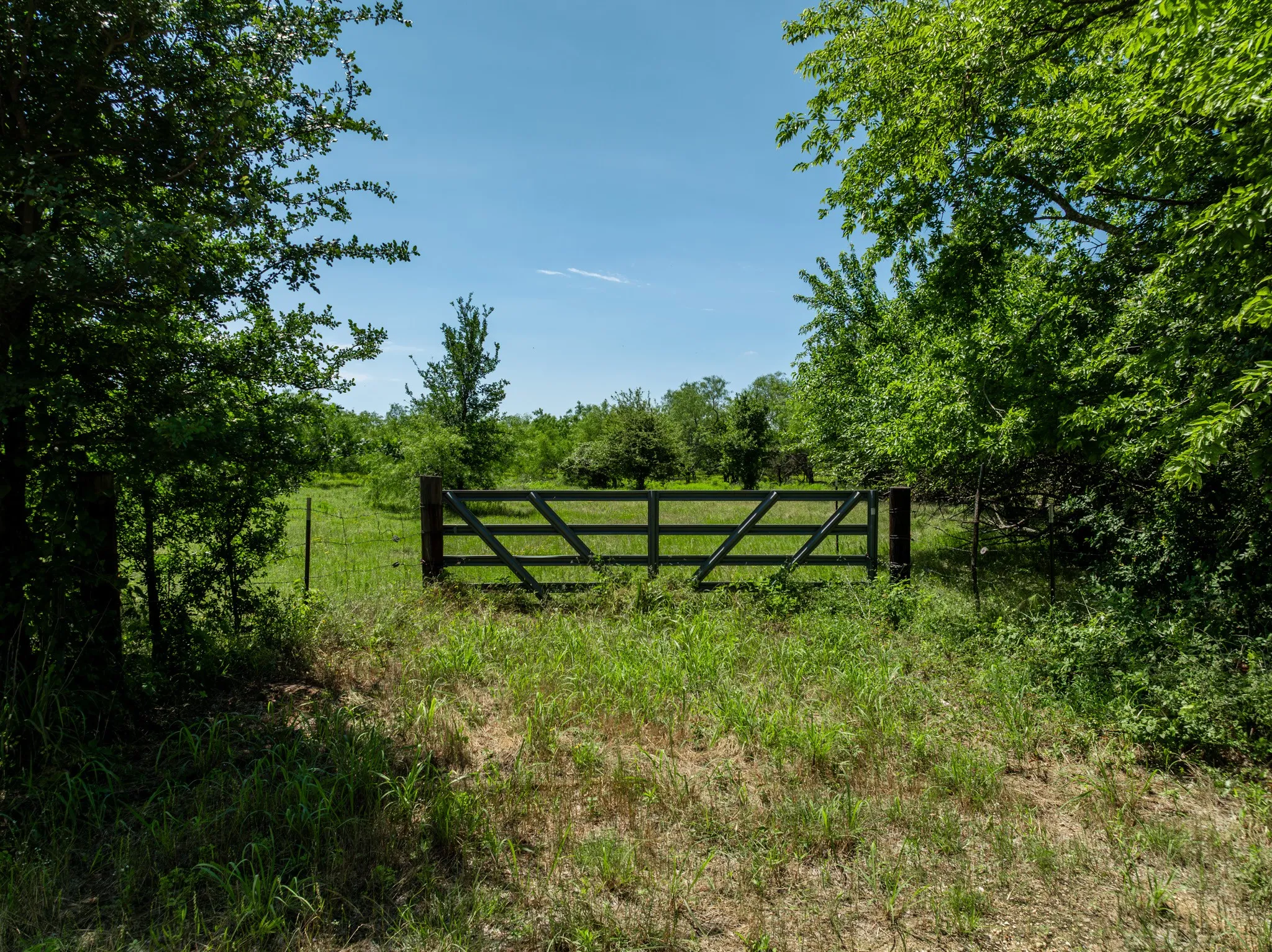 Unimproved Land For Sale in Hill County , TBD HCR 2115, Whitney, Texas 76692, 0, 0, Garage spaces, 0 Sqft, built in 0, mls#21285426, Real Estate Agent in Whitney, Homes For Sale in Hill county, Homes For Sale in Whitney, Realtor in Whitney Texas, Real Estate Brokerage Independent Realty Texas, Luminita Cordes Realtor