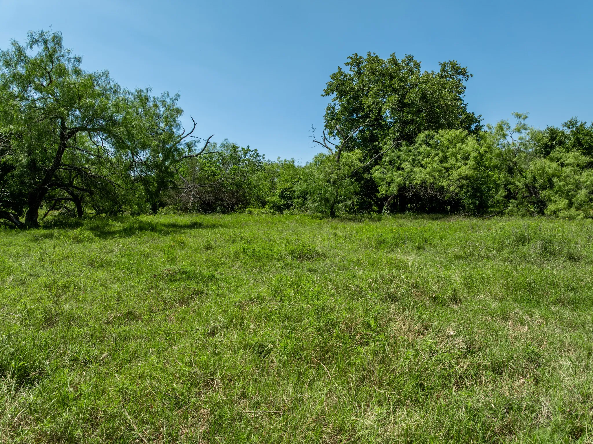 Unimproved Land For Sale in Hill County , TBD HCR 2115, Whitney, Texas 76692, 0, 0, Garage spaces, 0 Sqft, built in 0, mls#21285426, Real Estate Agent in Whitney, Homes For Sale in Hill county, Homes For Sale in Whitney, Realtor in Whitney Texas, Real Estate Brokerage Independent Realty Texas, Luminita Cordes Realtor