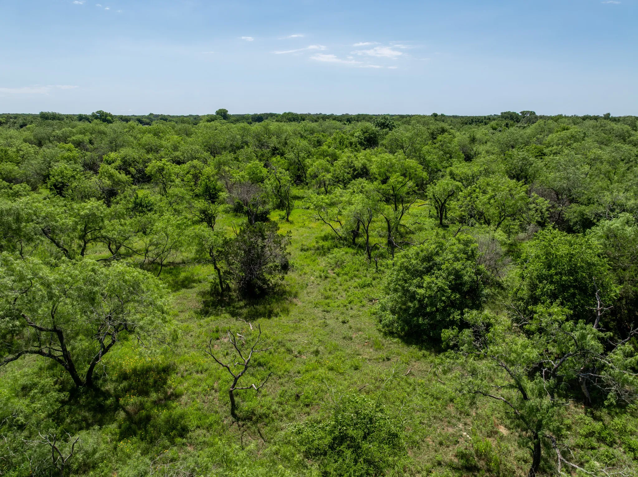 Unimproved Land For Sale in Hill County , TBD HCR 2115, Whitney, Texas 76692, 0, 0, Garage spaces, 0 Sqft, built in 0, mls#21285426, Real Estate Agent in Whitney, Homes For Sale in Hill county, Homes For Sale in Whitney, Realtor in Whitney Texas, Real Estate Brokerage Independent Realty Texas, Luminita Cordes Realtor