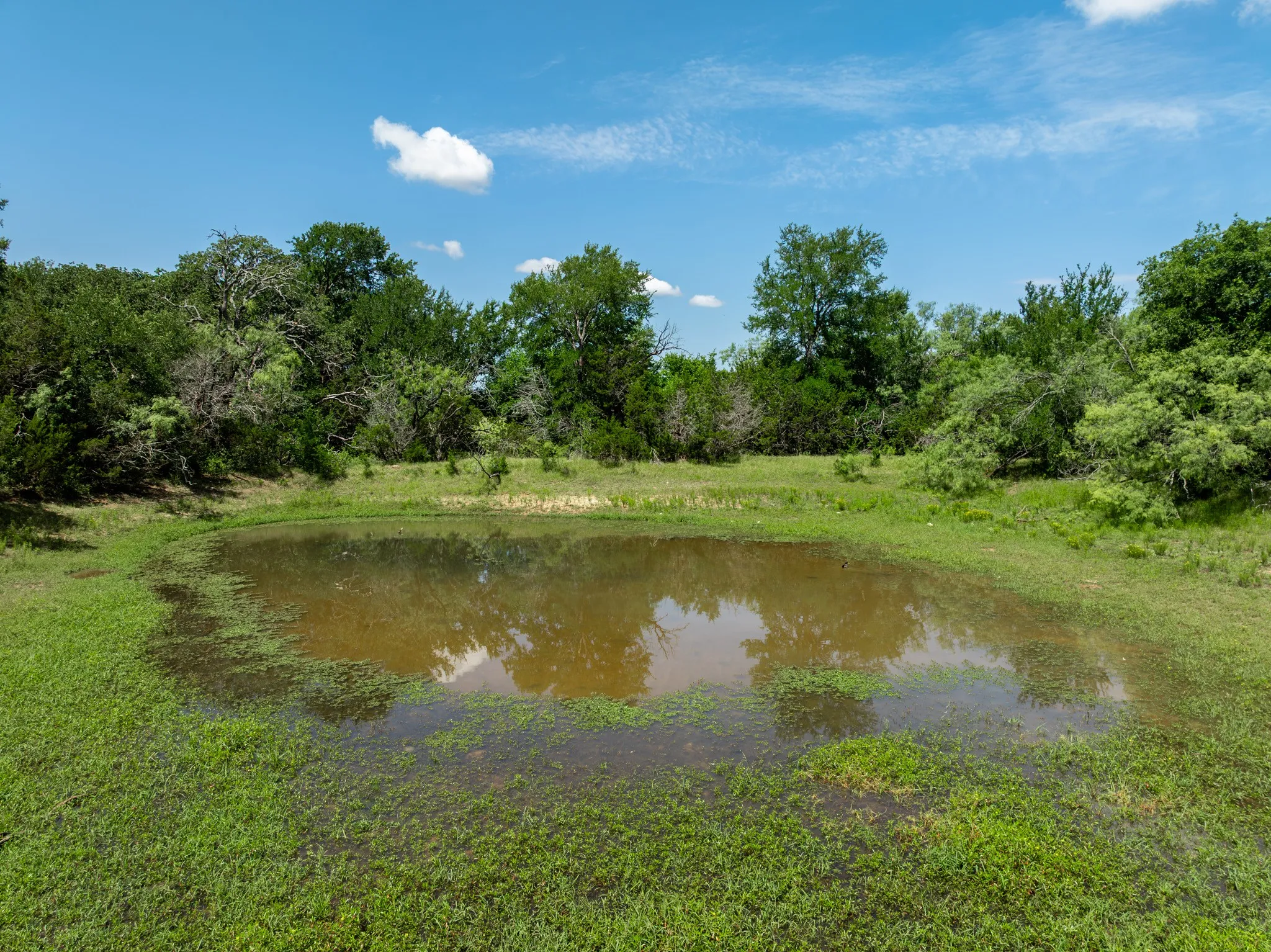Unimproved Land For Sale in Hill County , TBD HCR 2115, Whitney, Texas 76692, 0, 0, Garage spaces, 0 Sqft, built in 0, mls#21285426, Real Estate Agent in Whitney, Homes For Sale in Hill county, Homes For Sale in Whitney, Realtor in Whitney Texas, Real Estate Brokerage Independent Realty Texas, Luminita Cordes Realtor