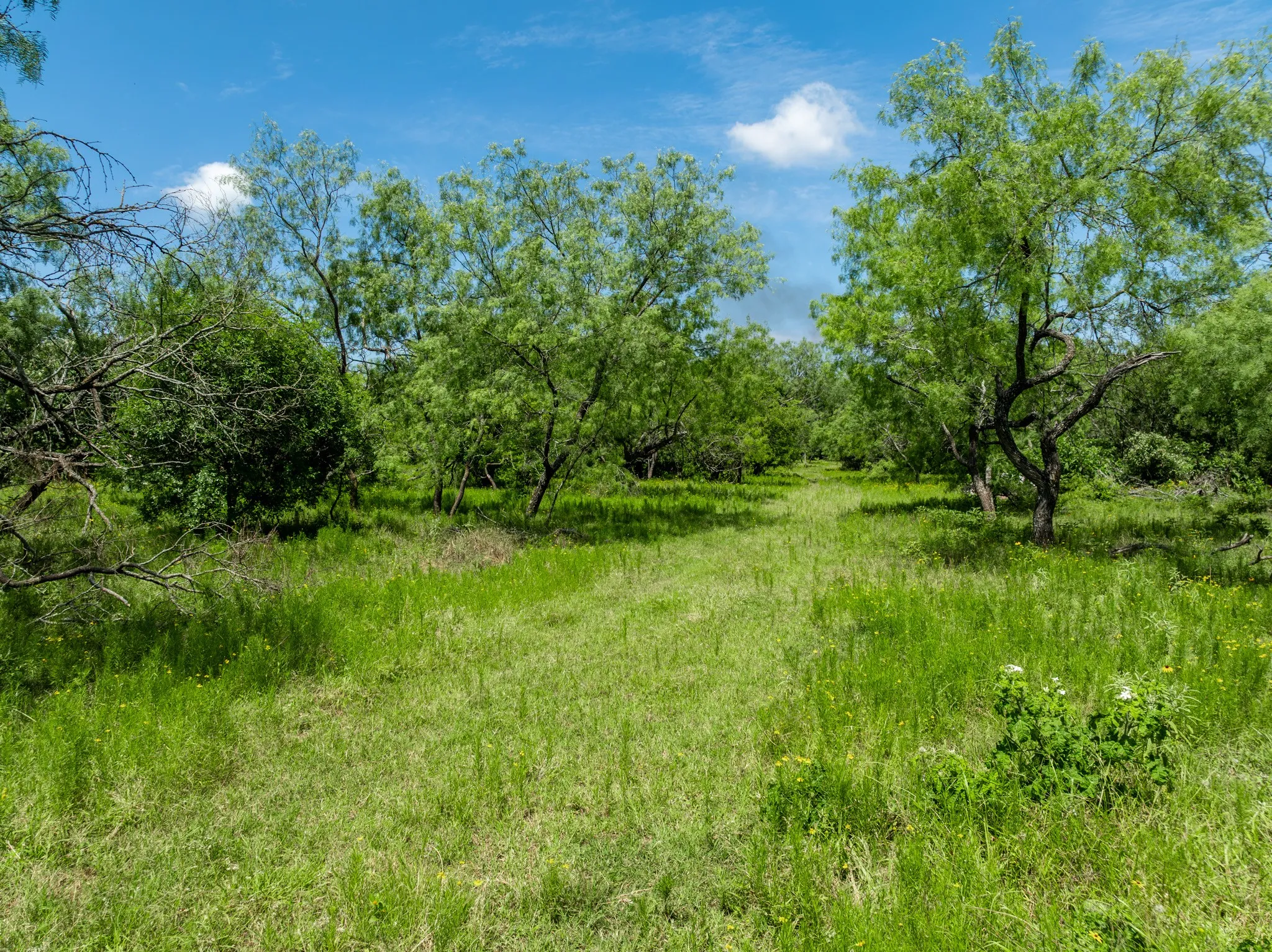 Unimproved Land For Sale in Hill County , TBD HCR 2115, Whitney, Texas 76692, 0, 0, Garage spaces, 0 Sqft, built in 0, mls#21285426, Real Estate Agent in Whitney, Homes For Sale in Hill county, Homes For Sale in Whitney, Realtor in Whitney Texas, Real Estate Brokerage Independent Realty Texas, Luminita Cordes Realtor
