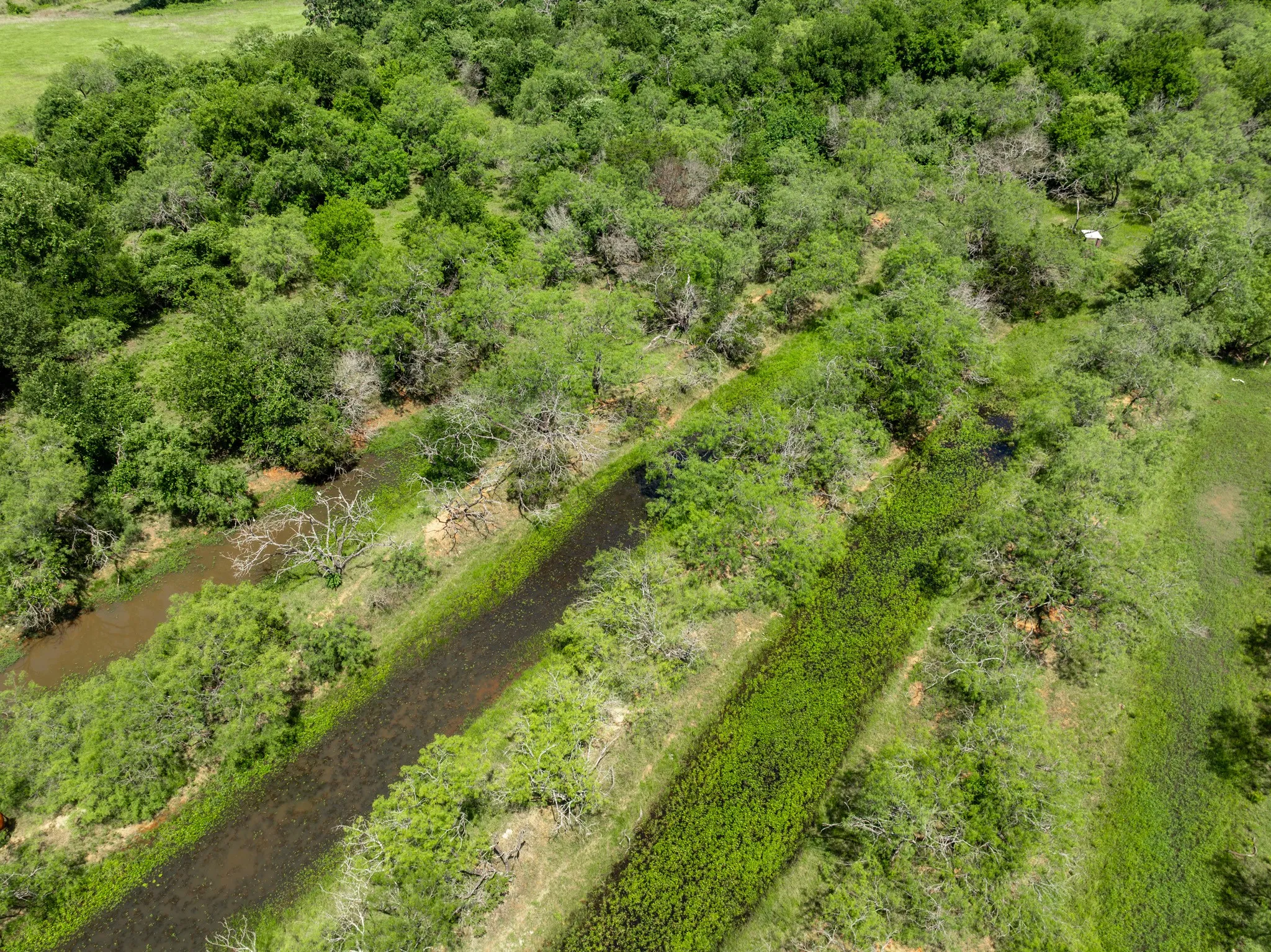 Unimproved Land For Sale in Hill County , TBD HCR 2115, Whitney, Texas 76692, 0, 0, Garage spaces, 0 Sqft, built in 0, mls#21285426, Real Estate Agent in Whitney, Homes For Sale in Hill county, Homes For Sale in Whitney, Realtor in Whitney Texas, Real Estate Brokerage Independent Realty Texas, Luminita Cordes Realtor
