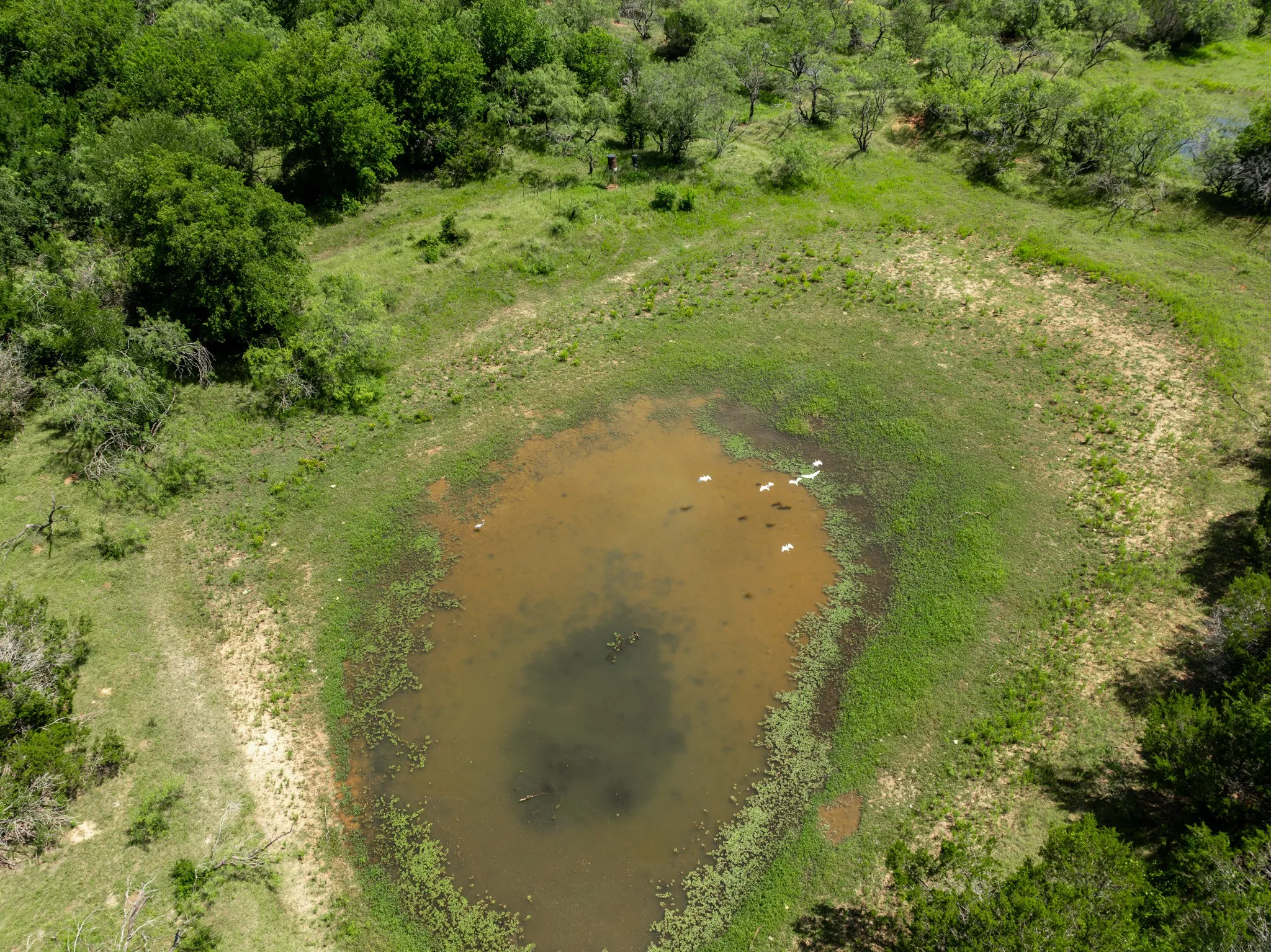 Unimproved Land For Sale in Hill County , TBD HCR 2115, Whitney, Texas 76692, 0, 0, Garage spaces, 0 Sqft, built in 0, mls#21285426, Real Estate Agent in Whitney, Homes For Sale in Hill county, Homes For Sale in Whitney, Realtor in Whitney Texas, Real Estate Brokerage Independent Realty Texas, Luminita Cordes Realtor