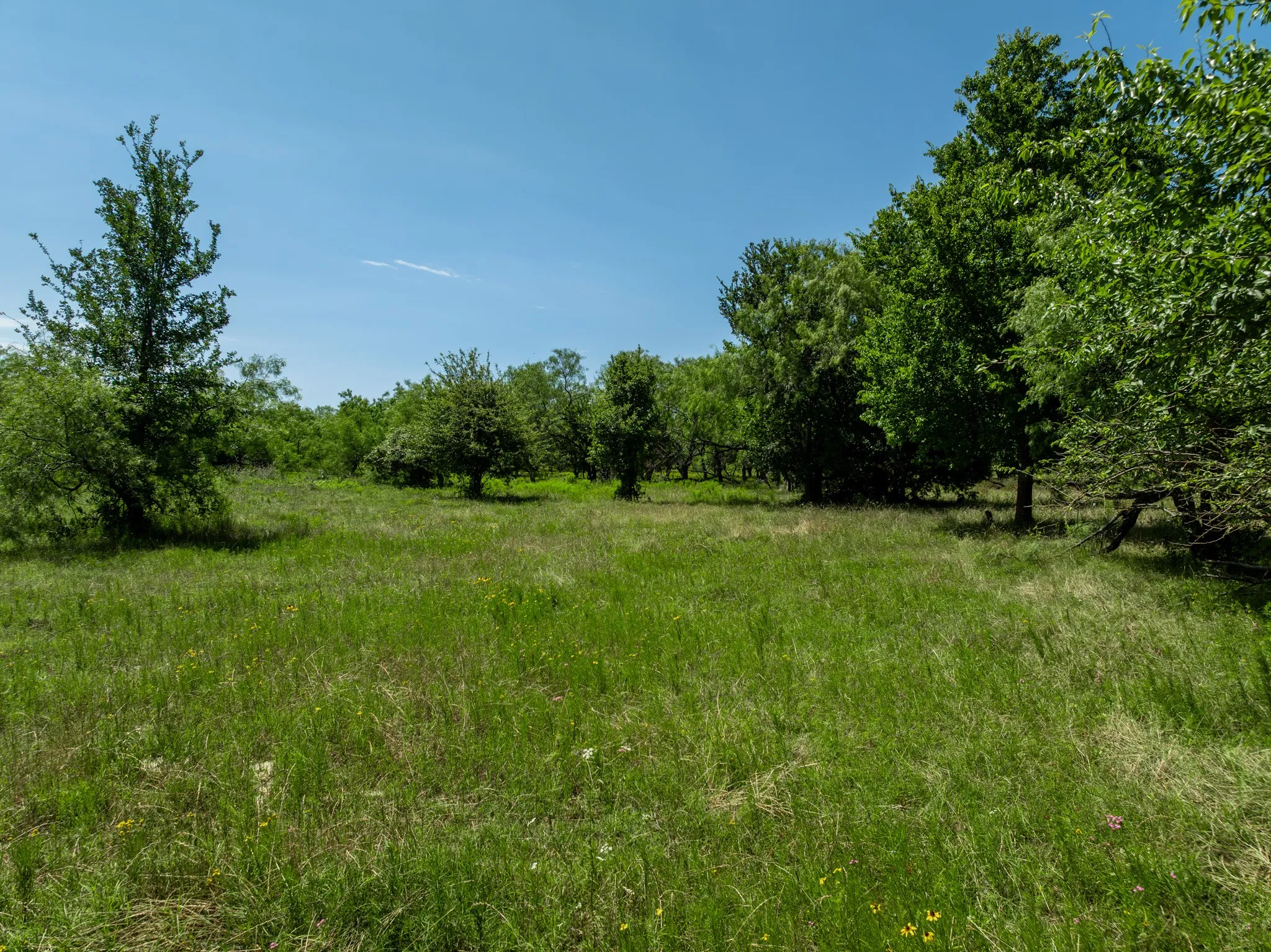 Unimproved Land For Sale in Hill County , TBD HCR 2115, Whitney, Texas 76692, 0, 0, Garage spaces, 0 Sqft, built in 0, mls#21285426, Real Estate Agent in Whitney, Homes For Sale in Hill county, Homes For Sale in Whitney, Realtor in Whitney Texas, Real Estate Brokerage Independent Realty Texas, Luminita Cordes Realtor