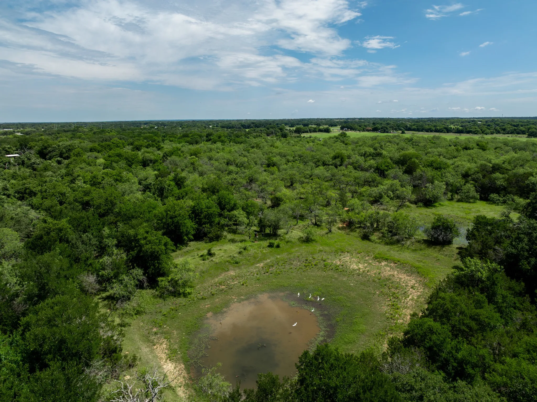 Unimproved Land For Sale in Hill County , TBD HCR 2115, Whitney, Texas 76692, 0, 0, Garage spaces, 0 Sqft, built in 0, mls#21285426, Real Estate Agent in Whitney, Homes For Sale in Hill county, Homes For Sale in Whitney, Realtor in Whitney Texas, Real Estate Brokerage Independent Realty Texas, Luminita Cordes Realtor