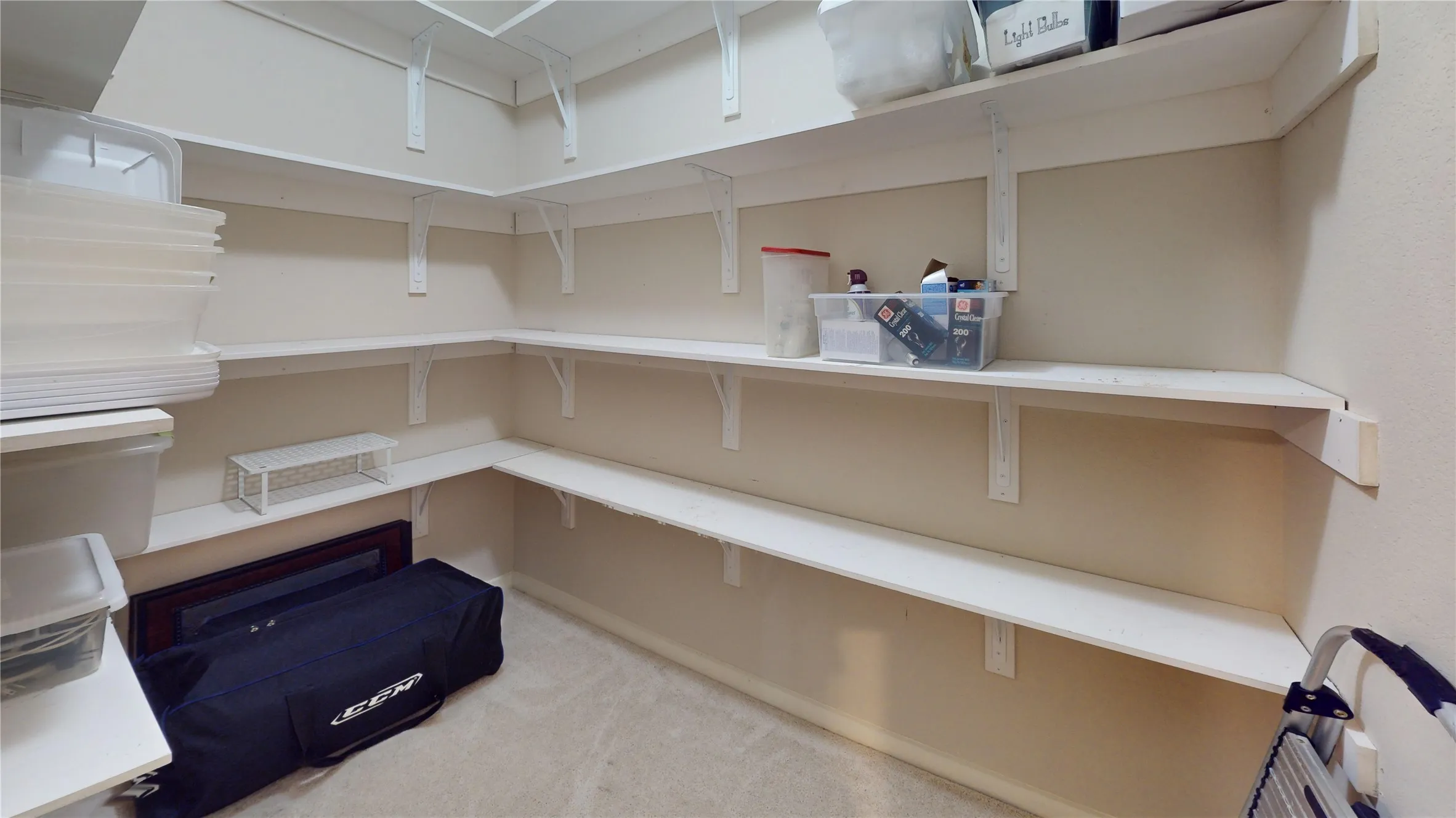 Walk-in closet featuring extensive built-in shelving, durable carpeting, and neutral wall tones