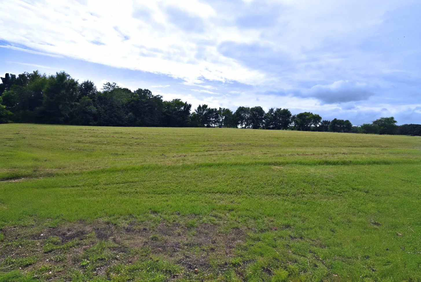 Unimproved Land For Sale in Wood County , 0000 Private Road 5986, Yantis, Texas 75497, 0, 0, Garage spaces, 0 Sqft, built in 0, Price $124,900, mls#21284368, Real Estate Agent in Yantis, Homes For Sale in Wood county, Homes For Sale in Yantis, Realtor in Yantis Texas, Real Estate Brokerage Independent Realty Texas, Luminita Cordes Realtor