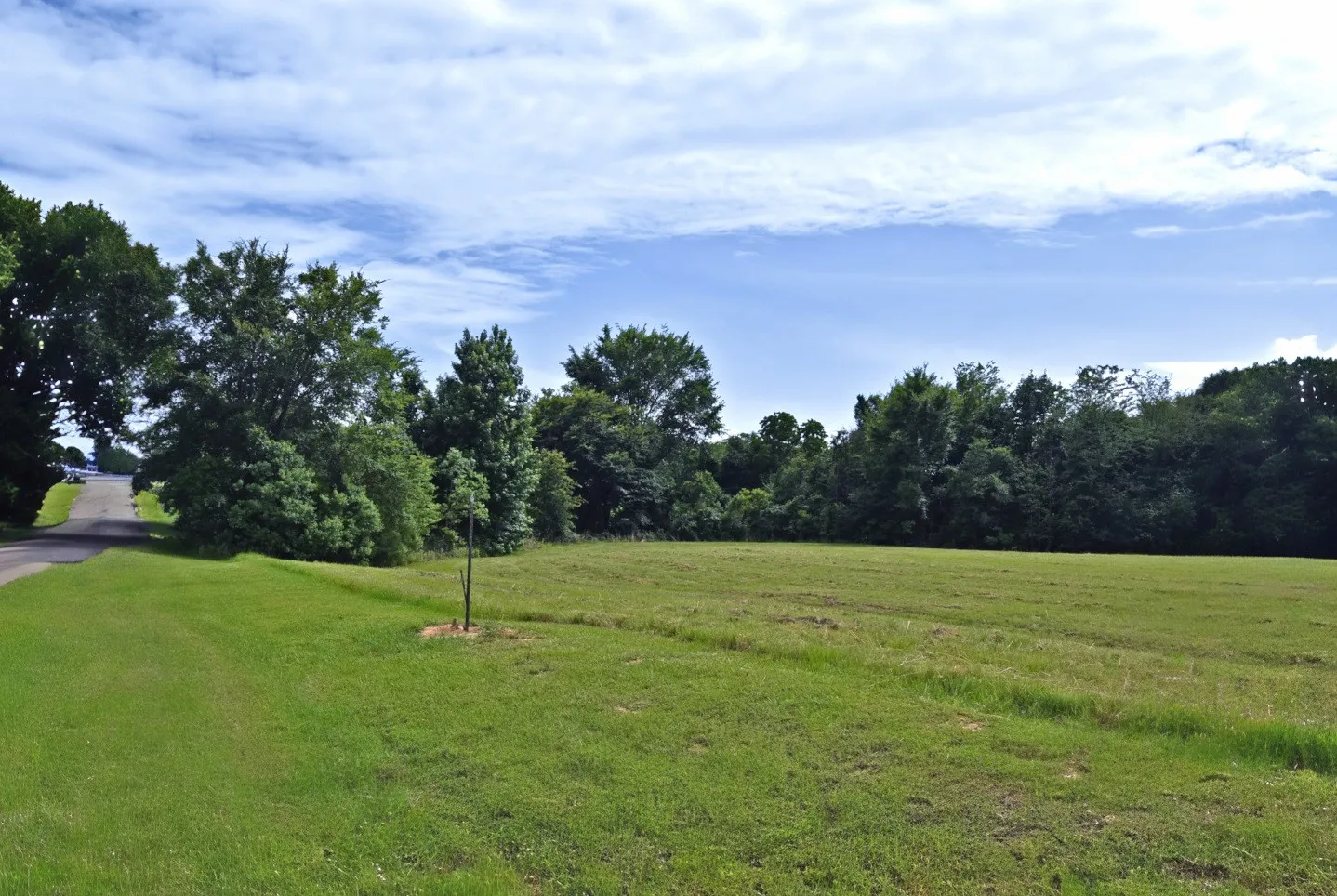 Unimproved Land For Sale in Wood County , 0000 Private Road 5986, Yantis, Texas 75497, 0, 0, Garage spaces, 0 Sqft, built in 0, Price $124,900, mls#21284368, Real Estate Agent in Yantis, Homes For Sale in Wood county, Homes For Sale in Yantis, Realtor in Yantis Texas, Real Estate Brokerage Independent Realty Texas, Luminita Cordes Realtor
