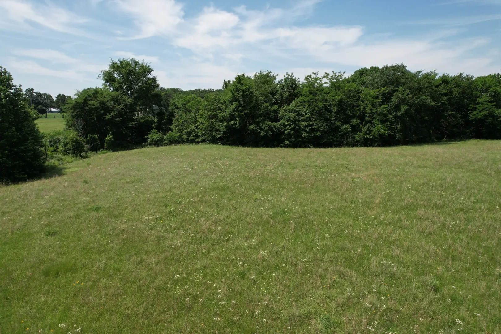 Unimproved Land For Sale in Wood County , 0000 Private Road 5986, Yantis, Texas 75497, 0, 0, Garage spaces, 0 Sqft, built in 0, Price $124,900, mls#21284368, Real Estate Agent in Yantis, Homes For Sale in Wood county, Homes For Sale in Yantis, Realtor in Yantis Texas, Real Estate Brokerage Independent Realty Texas, Luminita Cordes Realtor