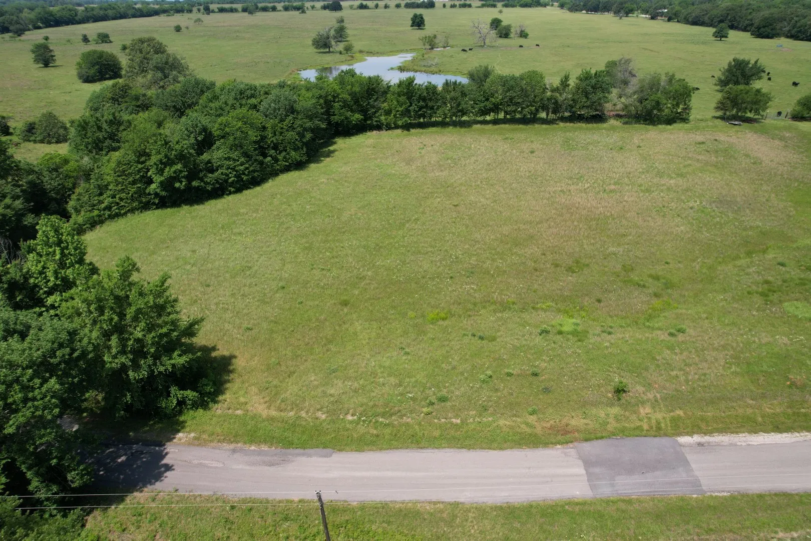 Unimproved Land For Sale in Wood County , 0000 Private Road 5986, Yantis, Texas 75497, 0, 0, Garage spaces, 0 Sqft, built in 0, Price $124,900, mls#21284368, Real Estate Agent in Yantis, Homes For Sale in Wood county, Homes For Sale in Yantis, Realtor in Yantis Texas, Real Estate Brokerage Independent Realty Texas, Luminita Cordes Realtor
