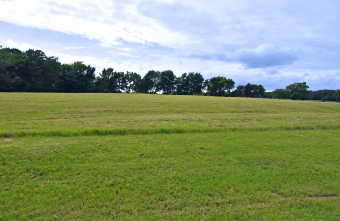 Unimproved Land For Sale in Wood County , 0000 Private Road 5986, Yantis, Texas 75497, 0, 0, Garage spaces, 0 Sqft, built in 0, Price $124,900, mls#21284368, Real Estate Agent in Yantis, Homes For Sale in Wood county, Homes For Sale in Yantis, Realtor in Yantis Texas, Real Estate Brokerage Independent Realty Texas, Luminita Cordes Realtor