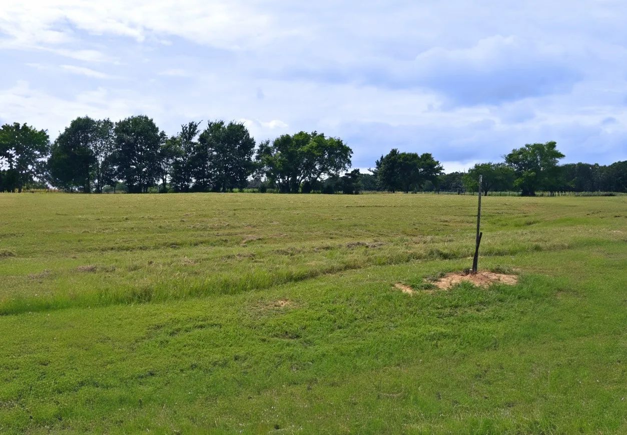 Unimproved Land For Sale in Wood County , 0000 Private Road 5986, Yantis, Texas 75497, 0, 0, Garage spaces, 0 Sqft, built in 0, Price $124,900, mls#21284368, Real Estate Agent in Yantis, Homes For Sale in Wood county, Homes For Sale in Yantis, Realtor in Yantis Texas, Real Estate Brokerage Independent Realty Texas, Luminita Cordes Realtor