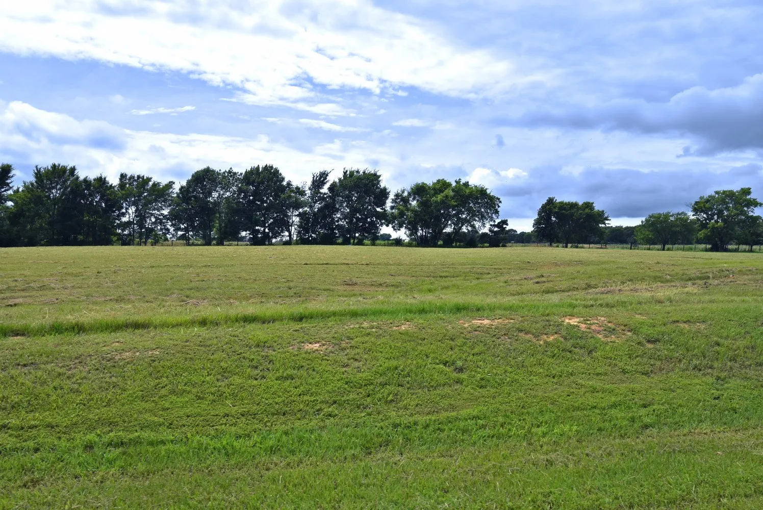 Unimproved Land For Sale in Wood County , 0000 Private Road 5986, Yantis, Texas 75497, 0, 0, Garage spaces, 0 Sqft, built in 0, Price $124,900, mls#21284368, Real Estate Agent in Yantis, Homes For Sale in Wood county, Homes For Sale in Yantis, Realtor in Yantis Texas, Real Estate Brokerage Independent Realty Texas, Luminita Cordes Realtor