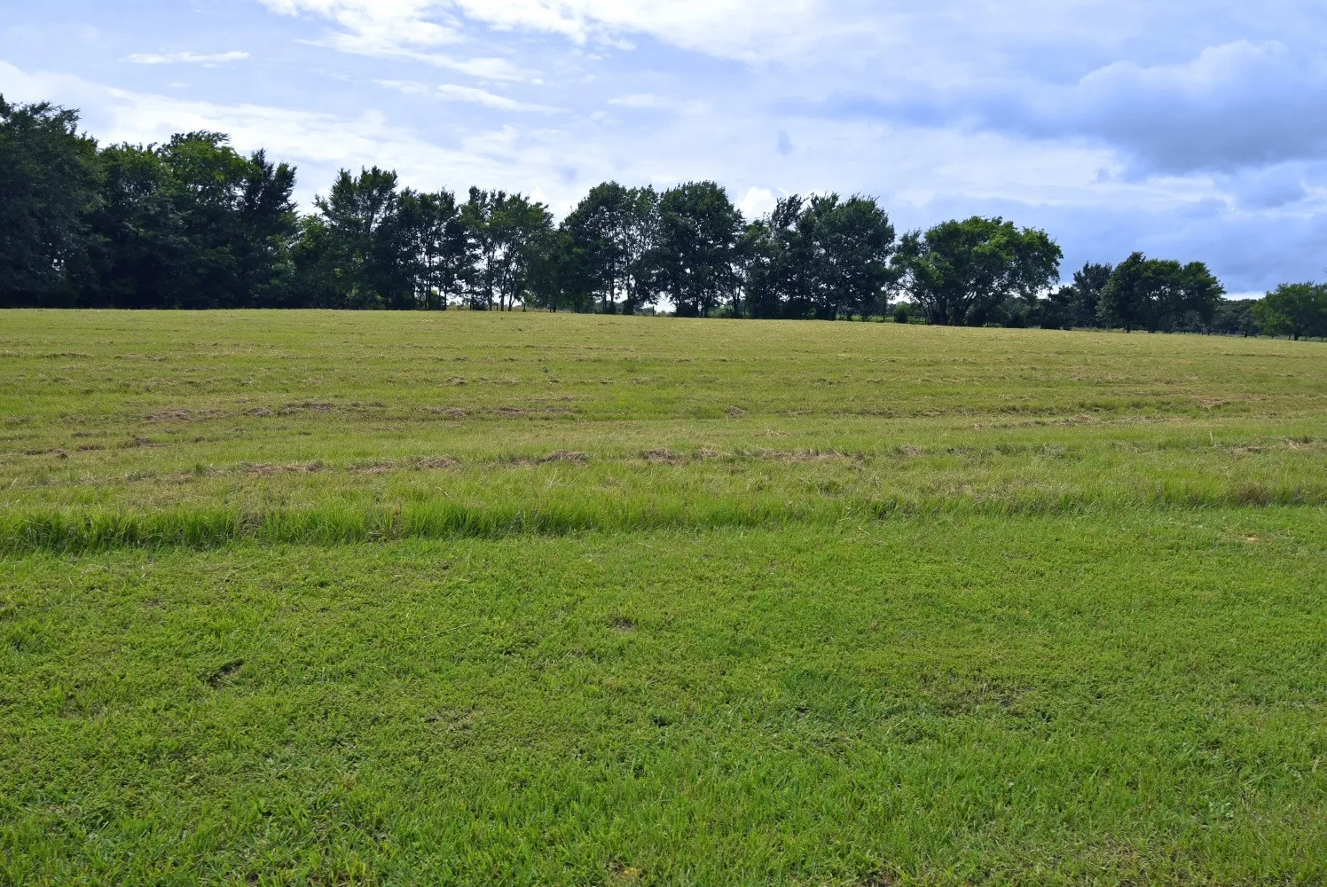 Unimproved Land For Sale in Wood County , 0000 Private Road 5986, Yantis, Texas 75497, 0, 0, Garage spaces, 0 Sqft, built in 0, Price $124,900, mls#21284368, Real Estate Agent in Yantis, Homes For Sale in Wood county, Homes For Sale in Yantis, Realtor in Yantis Texas, Real Estate Brokerage Independent Realty Texas, Luminita Cordes Realtor
