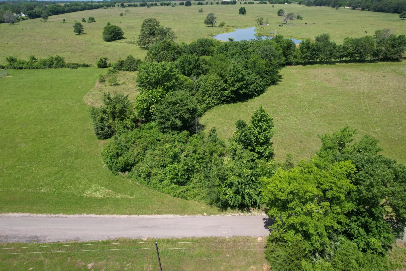 Unimproved Land For Sale in Wood County , 0000 Private Road 5986, Yantis, Texas 75497, 0, 0, Garage spaces, 0 Sqft, built in 0, Price $124,900, mls#21284368, Real Estate Agent in Yantis, Homes For Sale in Wood county, Homes For Sale in Yantis, Realtor in Yantis Texas, Real Estate Brokerage Independent Realty Texas, Luminita Cordes Realtor
