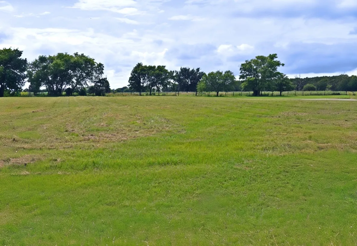 Unimproved Land For Sale in Wood County , 0000 Private Road 5986, Yantis, Texas 75497, 0, 0, Garage spaces, 0 Sqft, built in 0, Price $124,900, mls#21284368, Real Estate Agent in Yantis, Homes For Sale in Wood county, Homes For Sale in Yantis, Realtor in Yantis Texas, Real Estate Brokerage Independent Realty Texas, Luminita Cordes Realtor