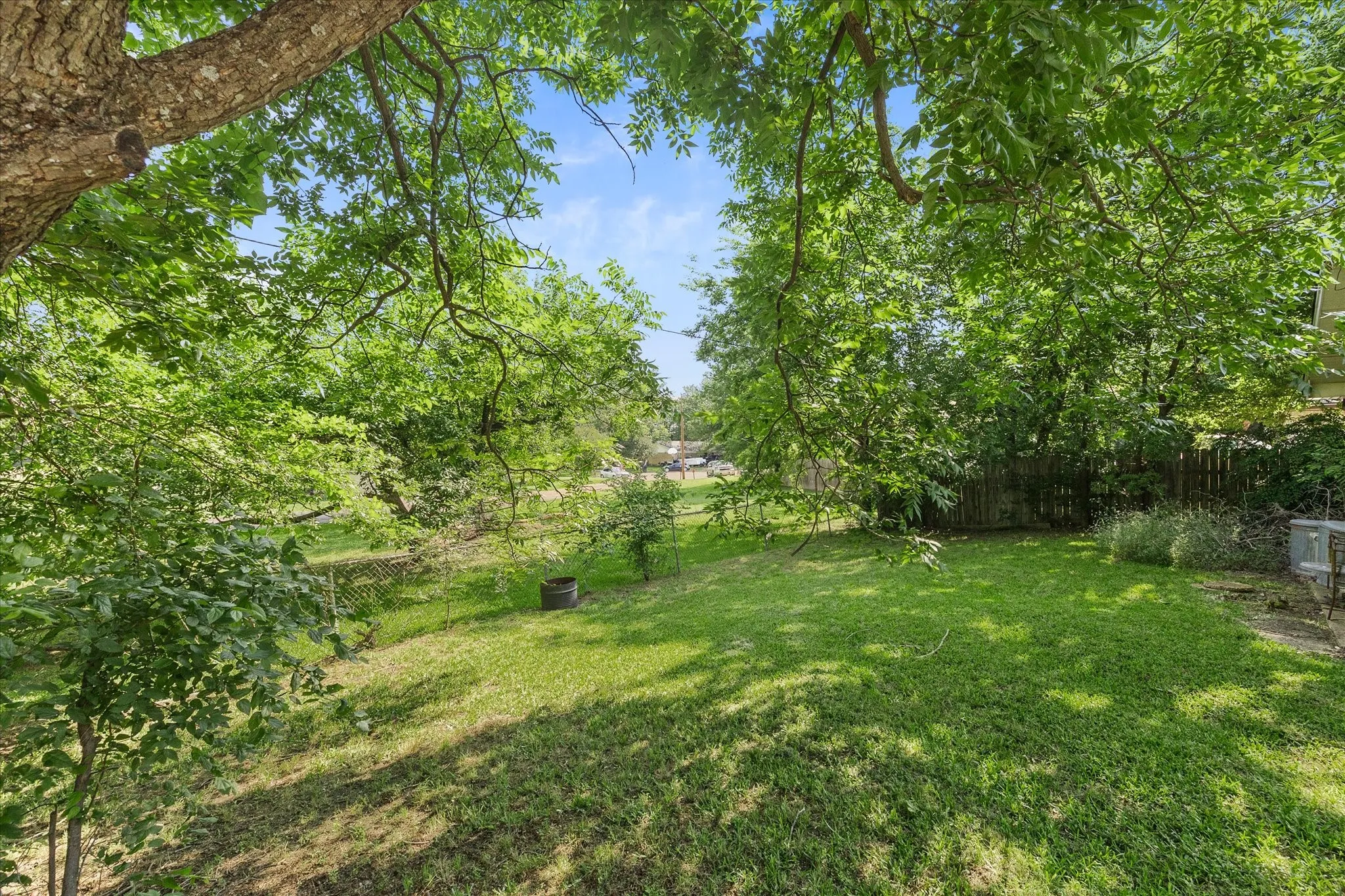 Back Yard