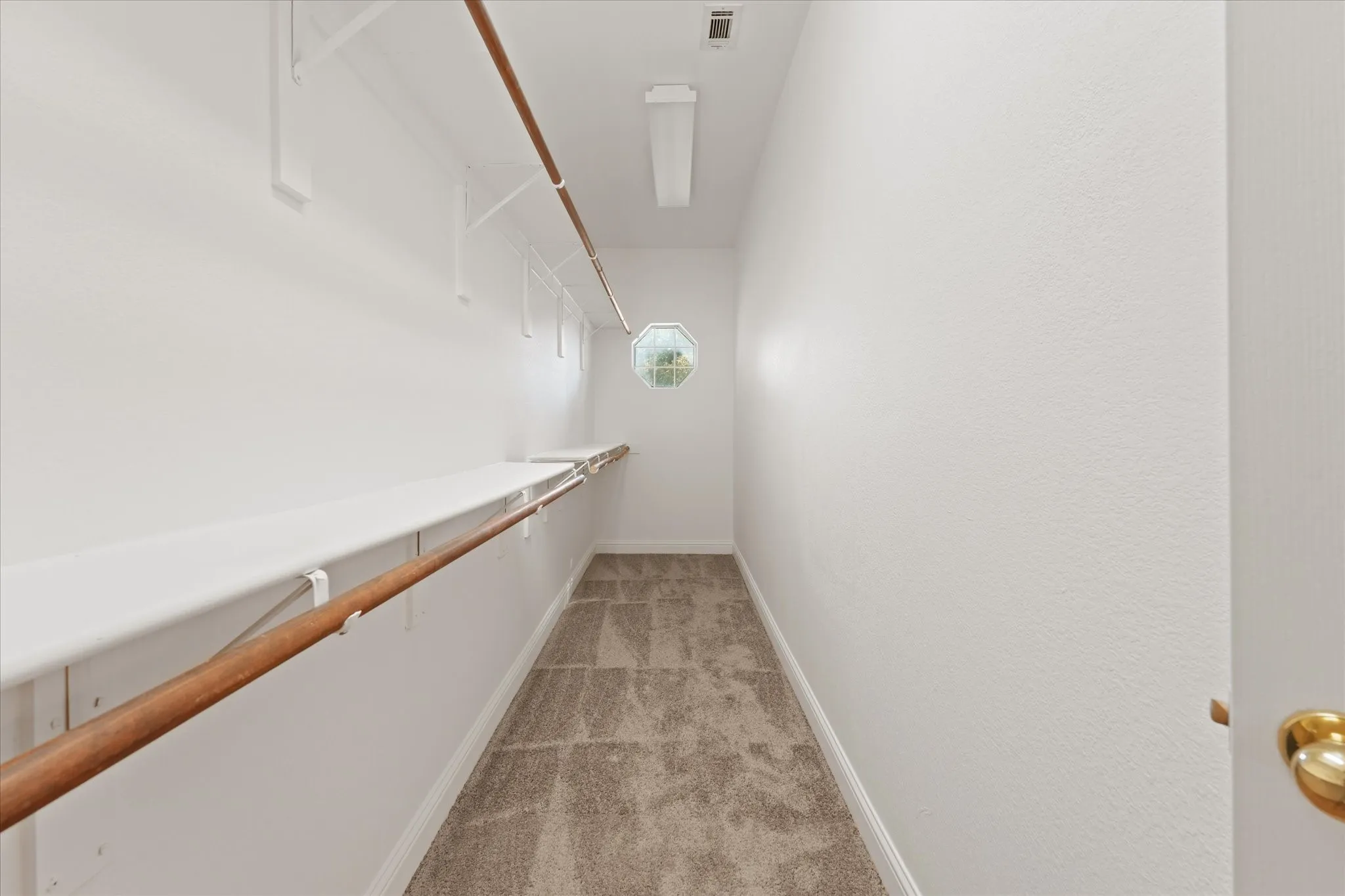 Walk-in closet featuring carpet flooring, built-in shelving, hanging rods, an octagonal window, and ceiling-mounted lighting