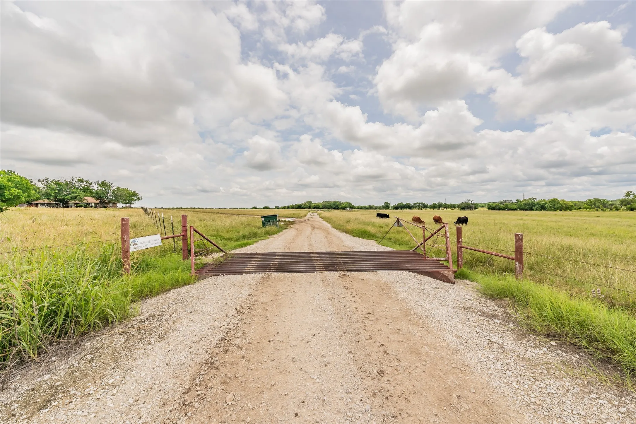 Unimproved Land For Sale in Wise County , 1174 Pioneer Road, New Fairview, Texas 76078, 0, 0, Garage spaces, 0 Sqft, built in 0, mls#21286144, Real Estate Agent in New Fairview, Homes For Sale in Wise county, Homes For Sale in New Fairview, Realtor in New Fairview Texas, Real Estate Brokerage Independent Realty Texas, Luminita Cordes Realtor