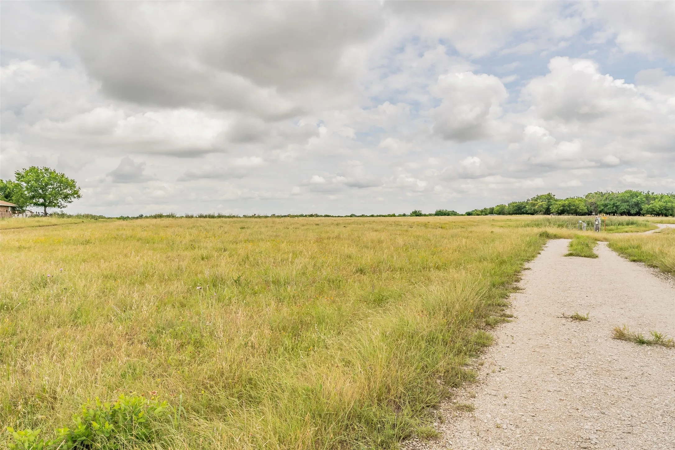 Unimproved Land For Sale in Wise County , 1174 Pioneer Road, New Fairview, Texas 76078, 0, 0, Garage spaces, 0 Sqft, built in 0, mls#21286144, Real Estate Agent in New Fairview, Homes For Sale in Wise county, Homes For Sale in New Fairview, Realtor in New Fairview Texas, Real Estate Brokerage Independent Realty Texas, Luminita Cordes Realtor