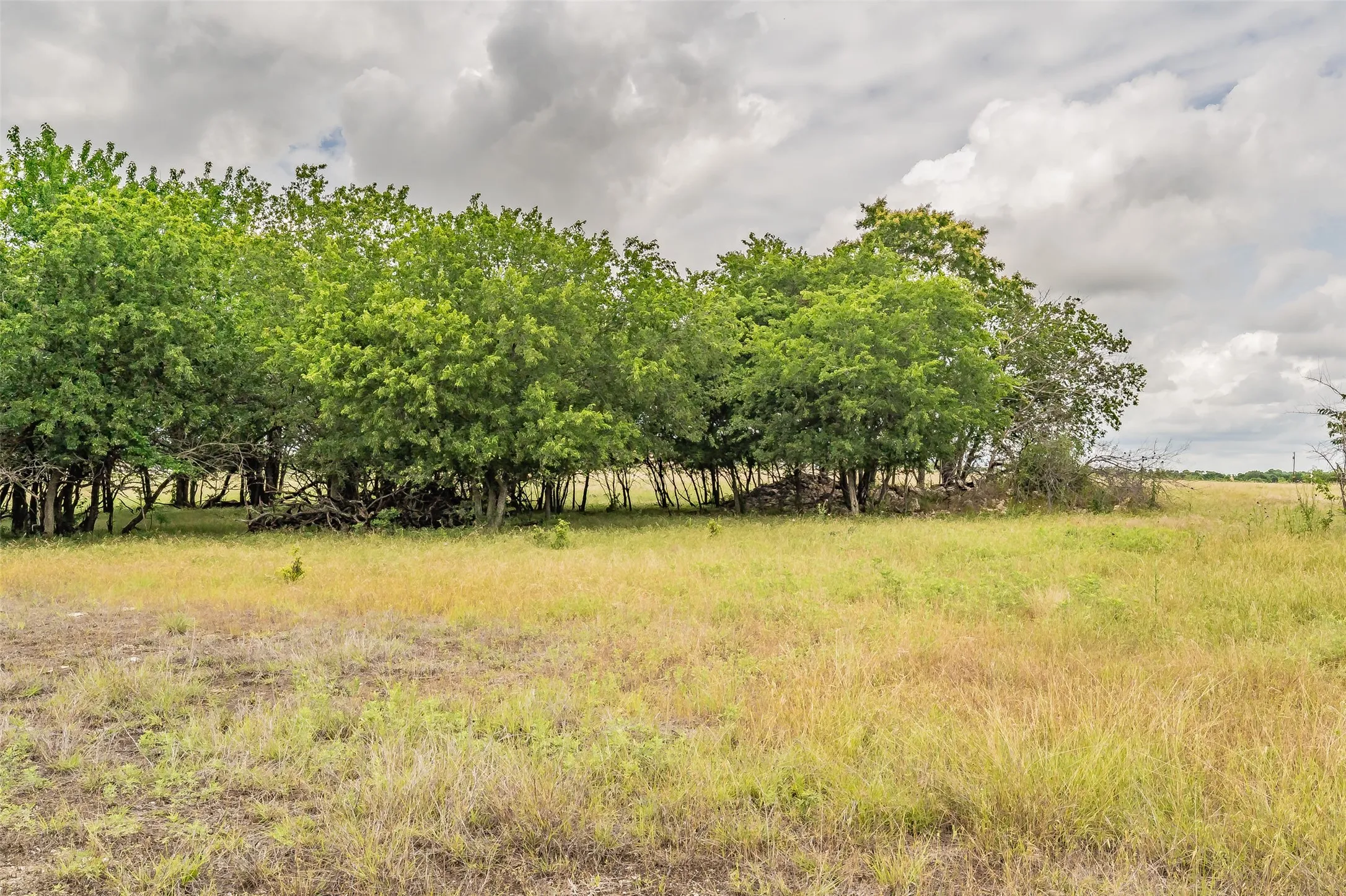 Unimproved Land For Sale in Wise County , 1174 Pioneer Road, New Fairview, Texas 76078, 0, 0, Garage spaces, 0 Sqft, built in 0, mls#21286144, Real Estate Agent in New Fairview, Homes For Sale in Wise county, Homes For Sale in New Fairview, Realtor in New Fairview Texas, Real Estate Brokerage Independent Realty Texas, Luminita Cordes Realtor