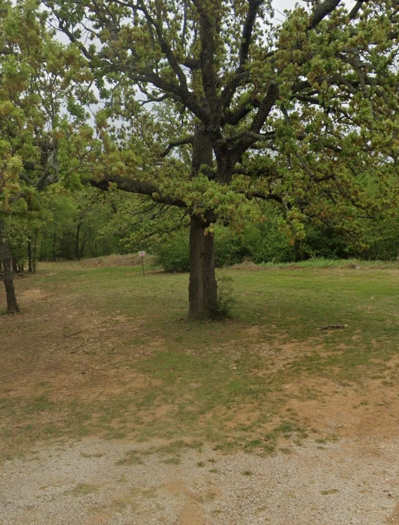 Unimproved Land For Sale in Denton County , 551 Horseshoe Trail, Oak Point, Texas 75068, 0, 0, Garage spaces, 0 Sqft, built in 0, Price $245,000, mls#21286177, Real Estate Agent in Oak Point, Homes For Sale in Denton county, Homes For Sale in Oak Point, Realtor in Oak Point Texas, Real Estate Brokerage Independent Realty Texas, Luminita Cordes Realtor