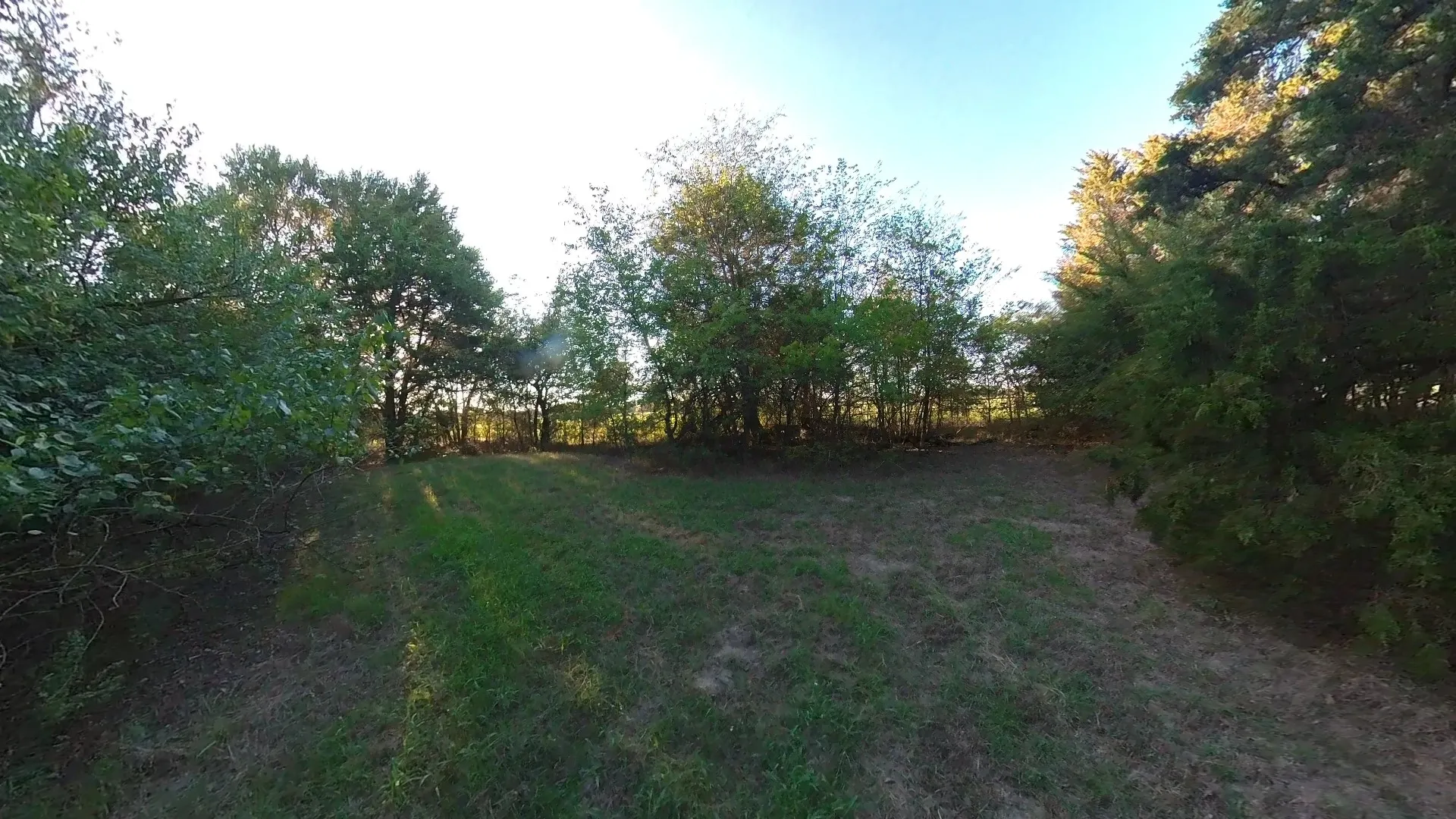 Unimproved Land For Sale in Navarro County , lot 49 Caddo Trail, Corsicana, Texas 75109, 0, 0, Garage spaces, 0 Sqft, built in 0, mls#21286196, Real Estate Agent in Corsicana, Homes For Sale in Navarro county, Homes For Sale in Corsicana, Realtor in Corsicana Texas, Real Estate Brokerage Independent Realty Texas, Luminita Cordes Realtor