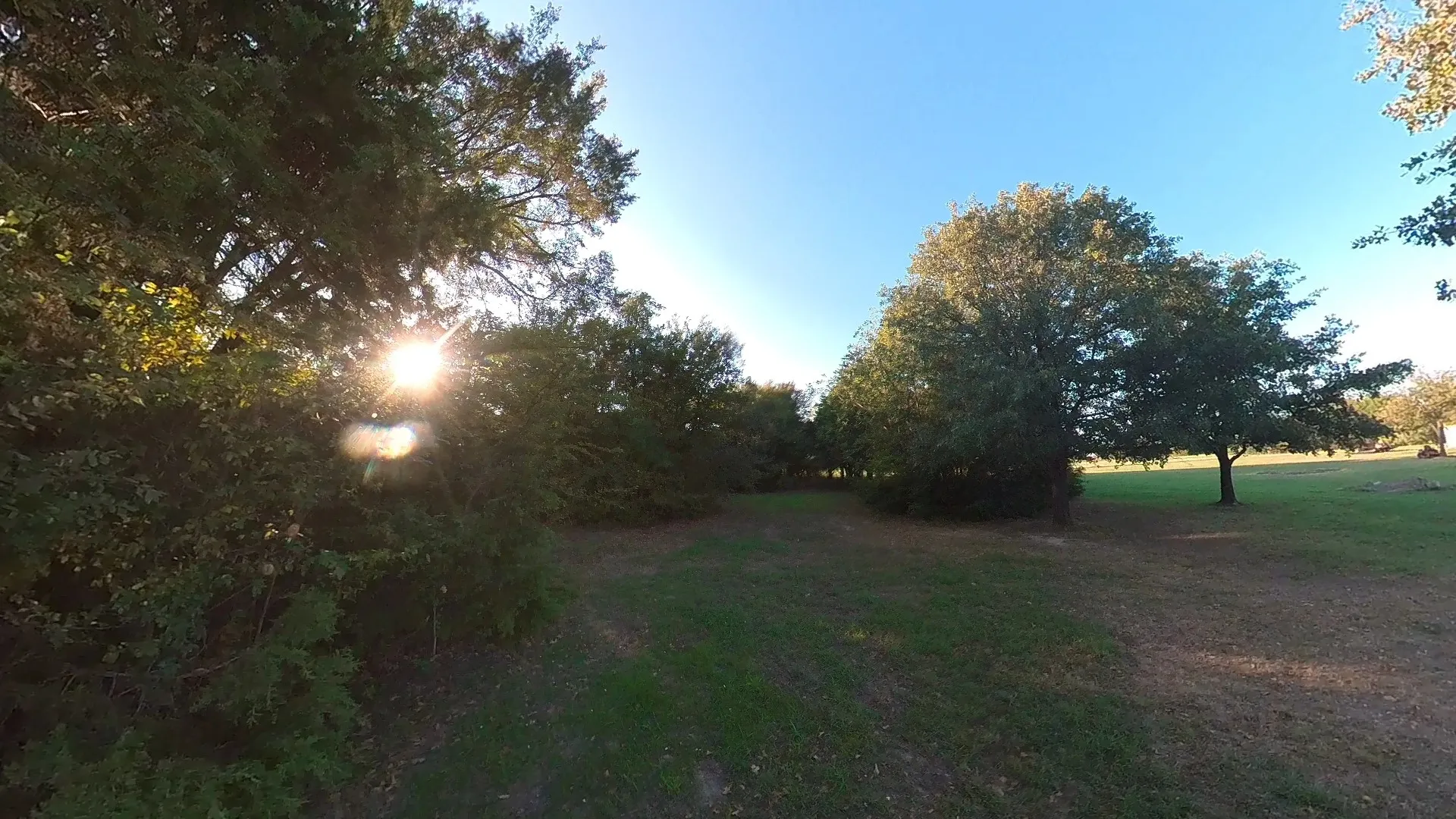 Unimproved Land For Sale in Navarro County , lot 49 Caddo Trail, Corsicana, Texas 75109, 0, 0, Garage spaces, 0 Sqft, built in 0, mls#21286196, Real Estate Agent in Corsicana, Homes For Sale in Navarro county, Homes For Sale in Corsicana, Realtor in Corsicana Texas, Real Estate Brokerage Independent Realty Texas, Luminita Cordes Realtor
