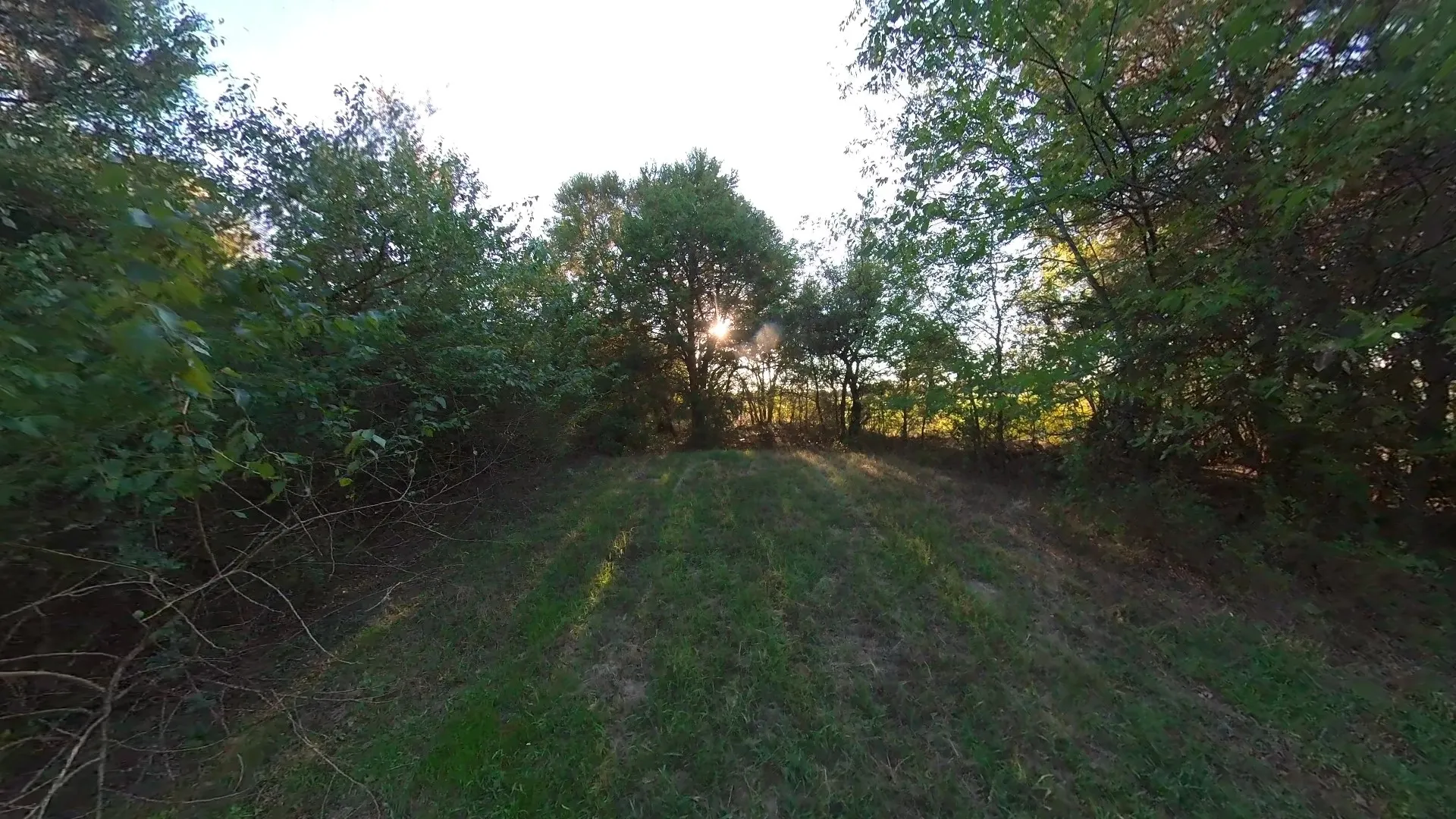 Unimproved Land For Sale in Navarro County , lot 49 Caddo Trail, Corsicana, Texas 75109, 0, 0, Garage spaces, 0 Sqft, built in 0, mls#21286196, Real Estate Agent in Corsicana, Homes For Sale in Navarro county, Homes For Sale in Corsicana, Realtor in Corsicana Texas, Real Estate Brokerage Independent Realty Texas, Luminita Cordes Realtor