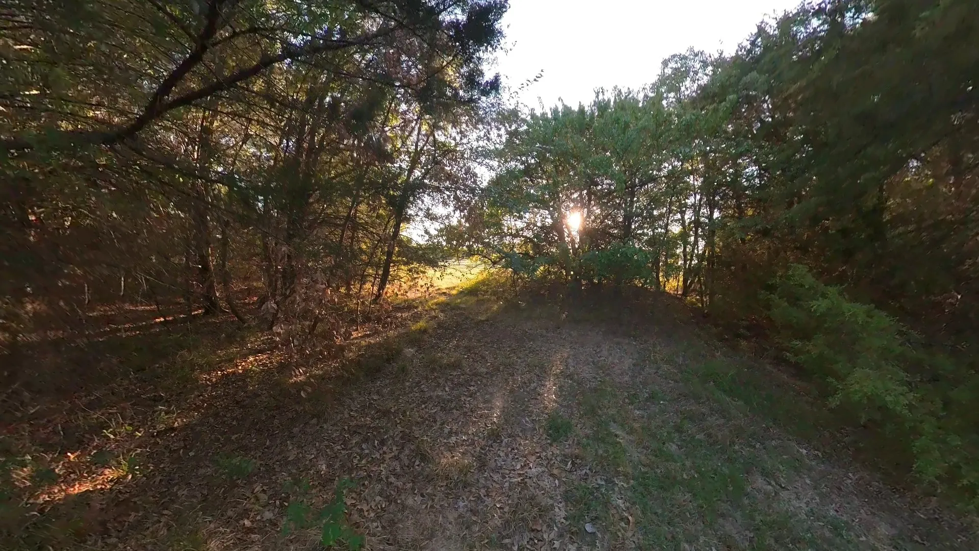 Unimproved Land For Sale in Navarro County , lot 49 Caddo Trail, Corsicana, Texas 75109, 0, 0, Garage spaces, 0 Sqft, built in 0, mls#21286196, Real Estate Agent in Corsicana, Homes For Sale in Navarro county, Homes For Sale in Corsicana, Realtor in Corsicana Texas, Real Estate Brokerage Independent Realty Texas, Luminita Cordes Realtor