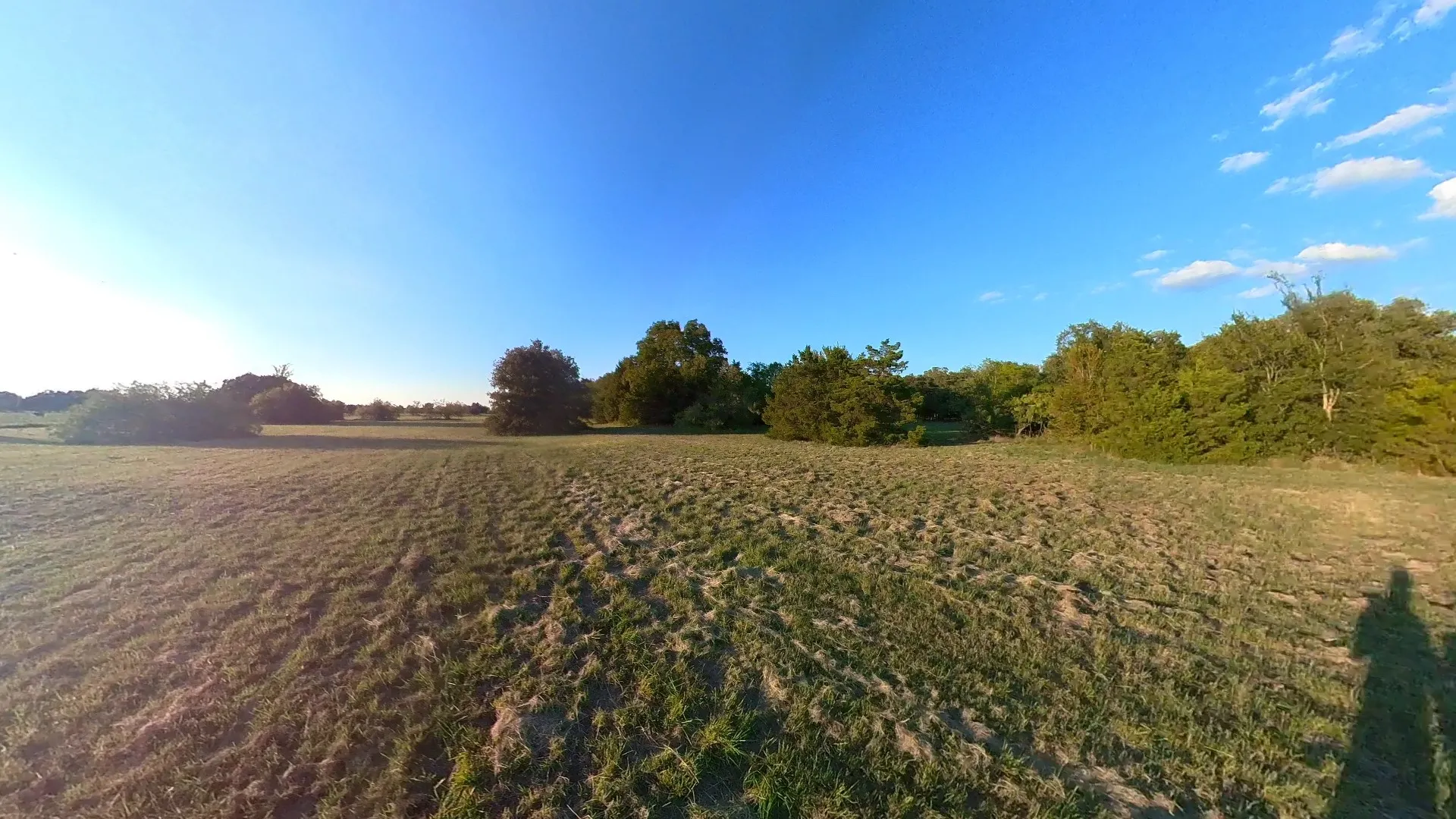 Unimproved Land For Sale in Navarro County , lot 49 Caddo Trail, Corsicana, Texas 75109, 0, 0, Garage spaces, 0 Sqft, built in 0, mls#21286196, Real Estate Agent in Corsicana, Homes For Sale in Navarro county, Homes For Sale in Corsicana, Realtor in Corsicana Texas, Real Estate Brokerage Independent Realty Texas, Luminita Cordes Realtor