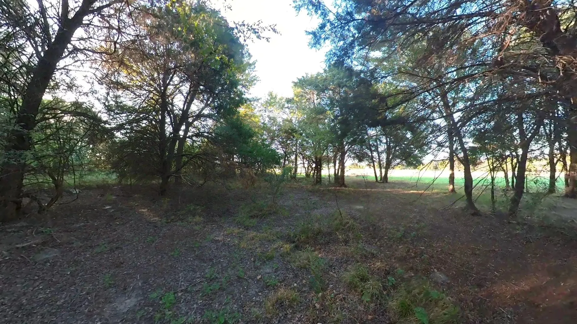 Unimproved Land For Sale in Navarro County , lot 49 Caddo Trail, Corsicana, Texas 75109, 0, 0, Garage spaces, 0 Sqft, built in 0, mls#21286196, Real Estate Agent in Corsicana, Homes For Sale in Navarro county, Homes For Sale in Corsicana, Realtor in Corsicana Texas, Real Estate Brokerage Independent Realty Texas, Luminita Cordes Realtor