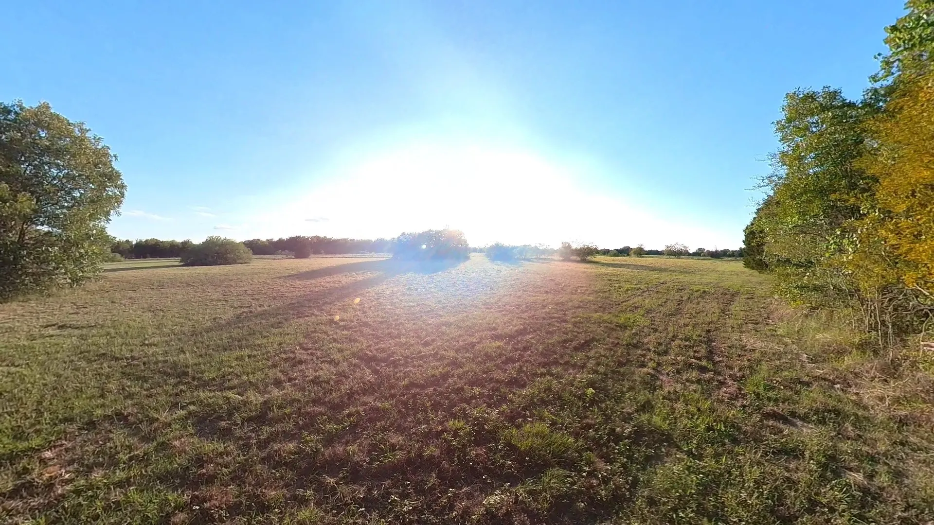 Unimproved Land For Sale in Navarro County , lot 49 Caddo Trail, Corsicana, Texas 75109, 0, 0, Garage spaces, 0 Sqft, built in 0, mls#21286196, Real Estate Agent in Corsicana, Homes For Sale in Navarro county, Homes For Sale in Corsicana, Realtor in Corsicana Texas, Real Estate Brokerage Independent Realty Texas, Luminita Cordes Realtor