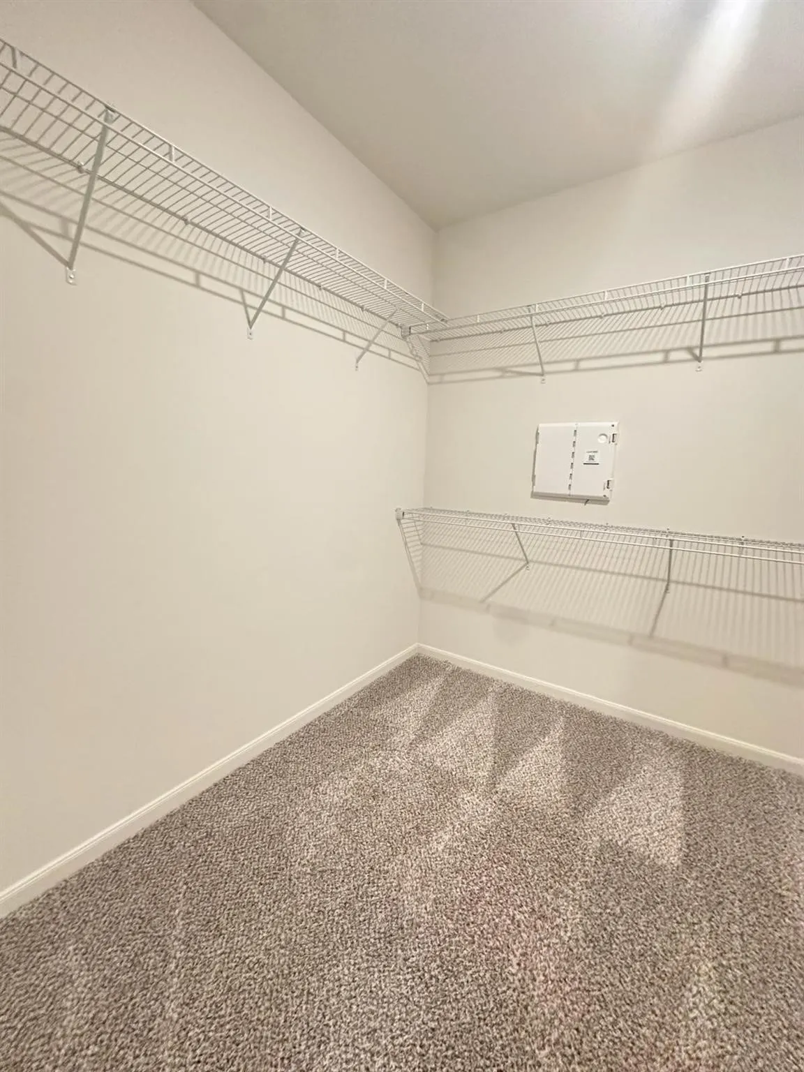 Carpeted walk-in closet featuring wire shelving on multiple walls