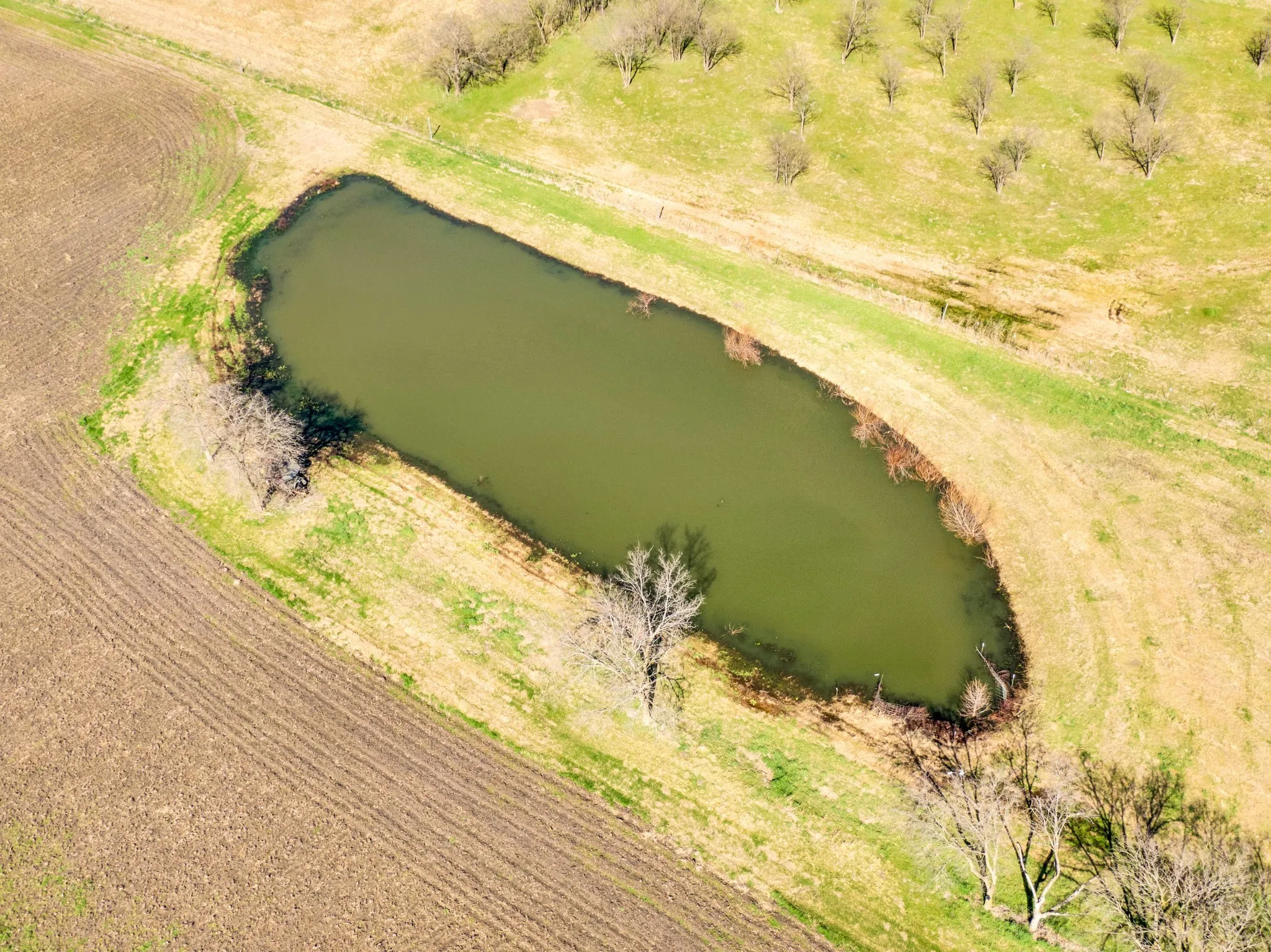 Unimproved Land For Sale in Ellis County , 1920 Moseley Road, Ennis, Texas 75119, 0, 0, Garage spaces, 0 Sqft, built in 0, Price $999,990, mls#21285840, Real Estate Agent in Ennis, Homes For Sale in Ellis county, Homes For Sale in Ennis, Realtor in Ennis Texas, Real Estate Brokerage Independent Realty Texas, Luminita Cordes Realtor